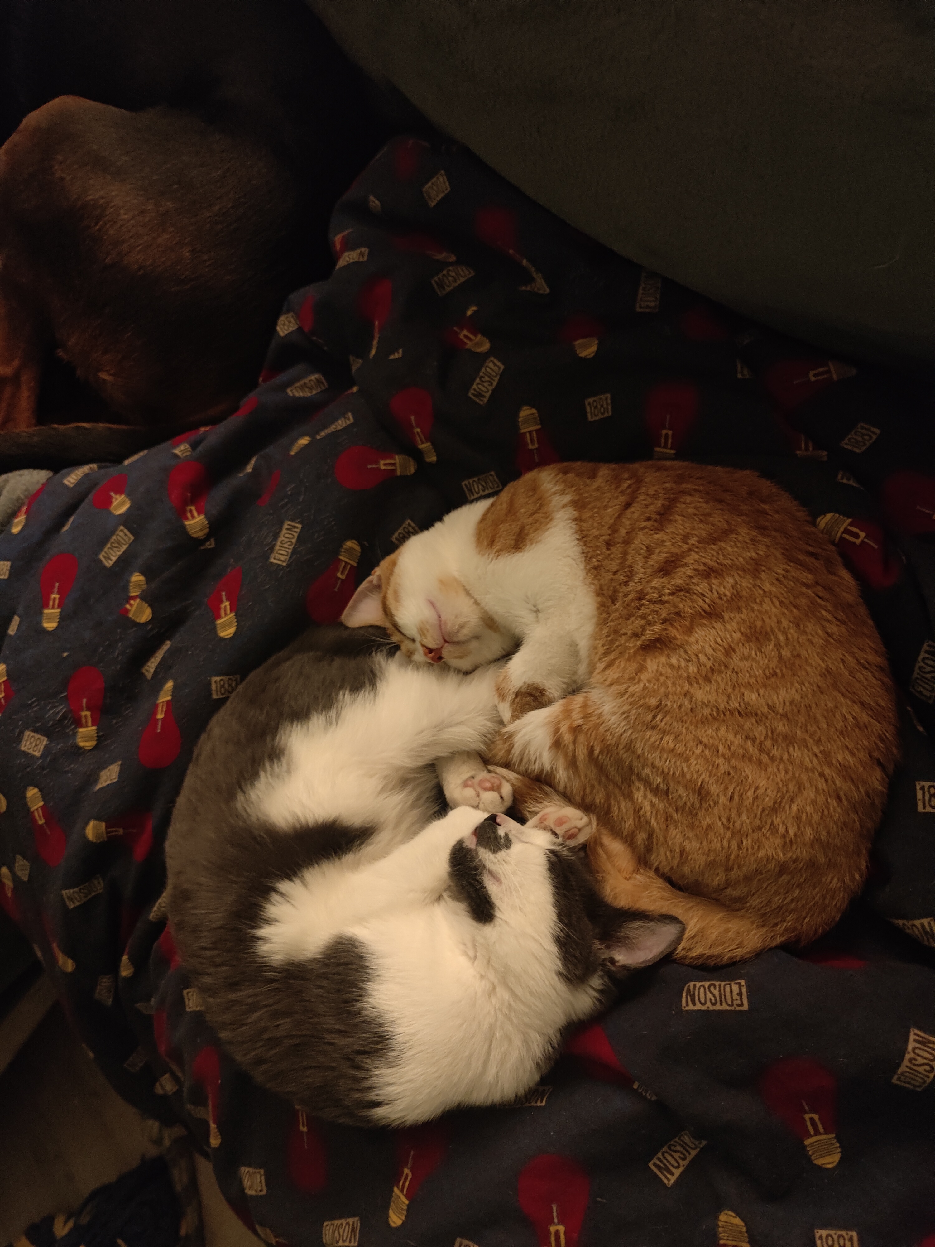 The Perfect Balance: Ying and Yang Explained