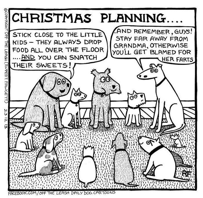 Hilarious Adventures of a Cartoon Dog