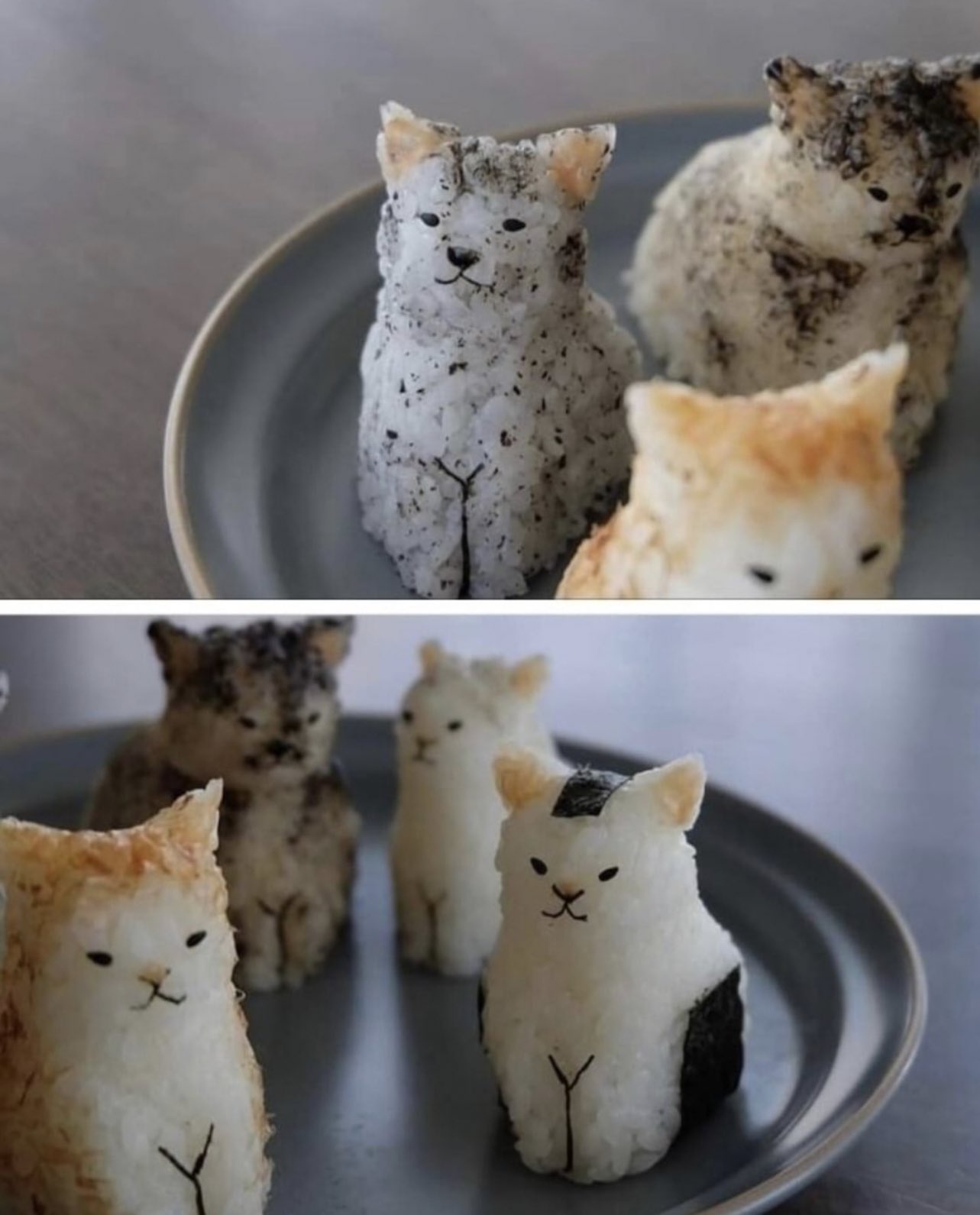Have You Ever Wanted to Pet Your Food?