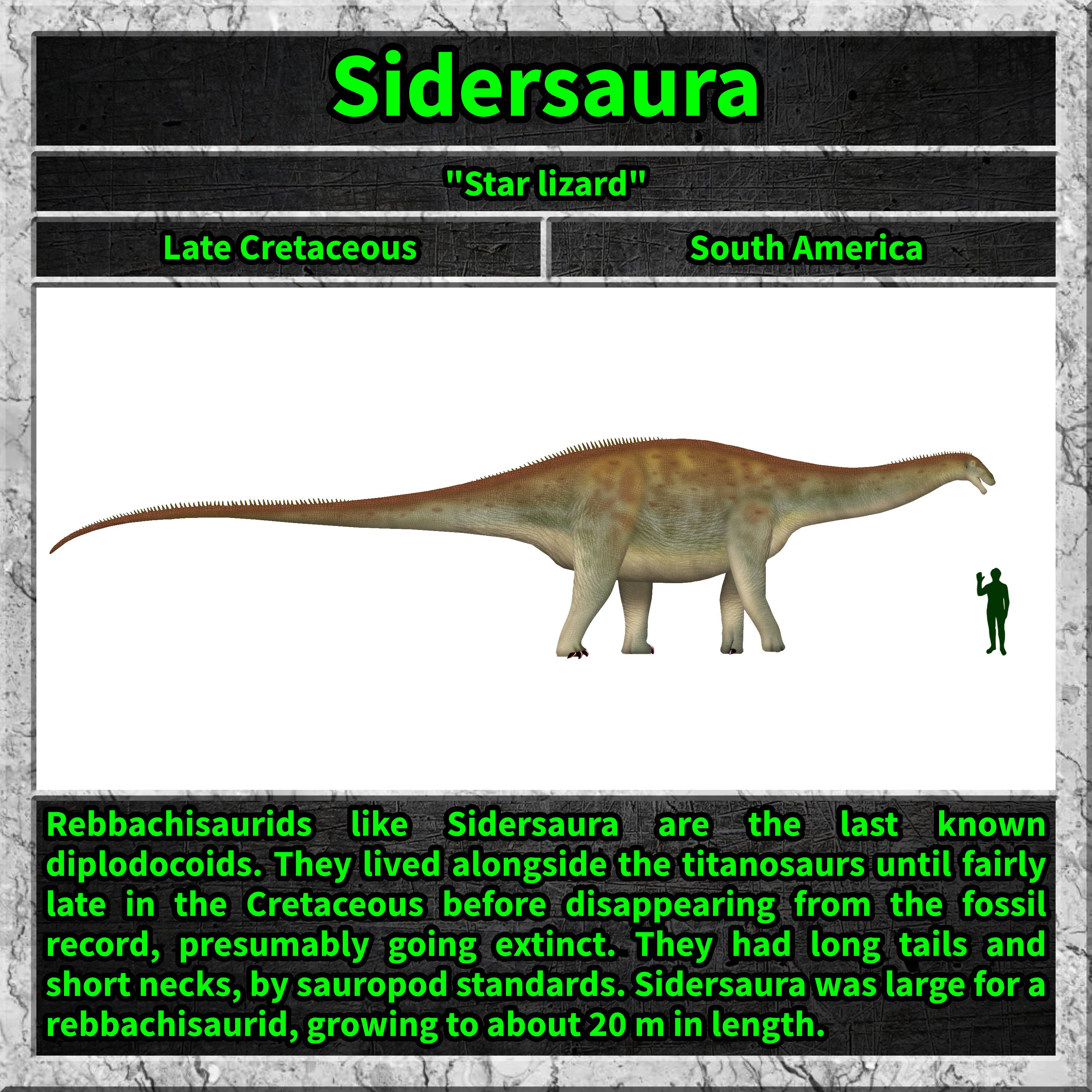 Discover the fascinating world of Sidersaura!