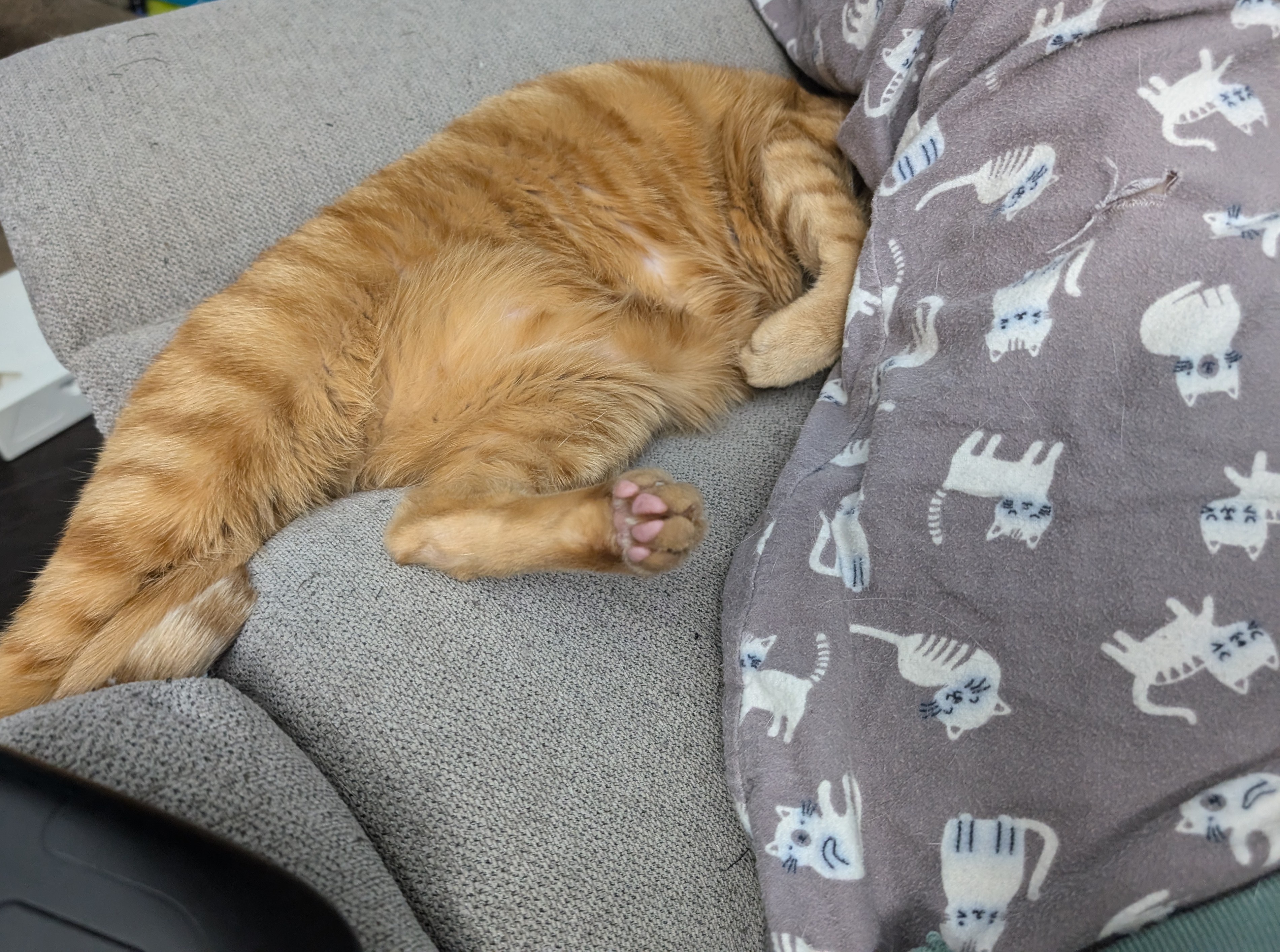Frax is in hiding, and honestly, I get it, buddy.