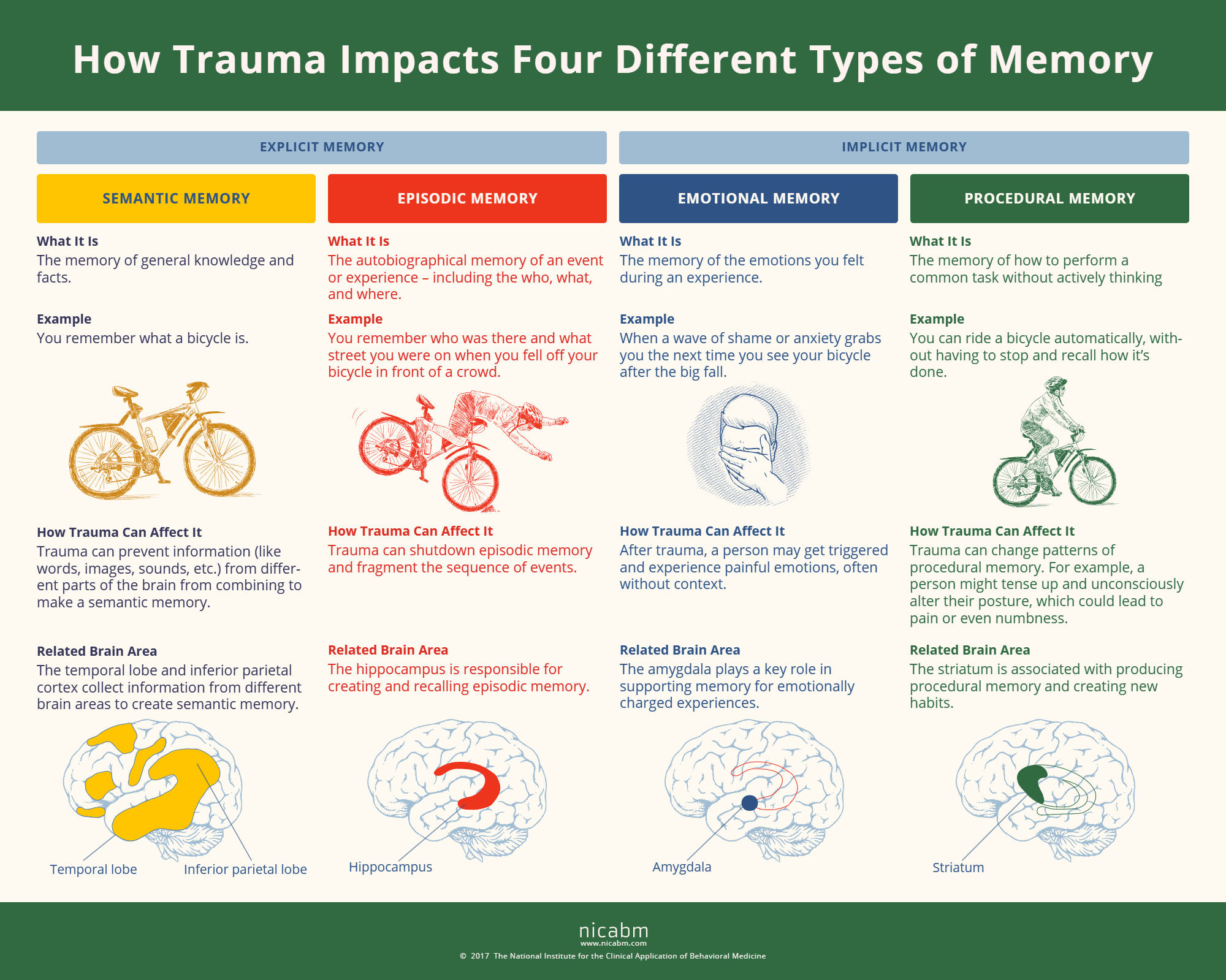 Exploring how trauma affects our memories (meme collection)