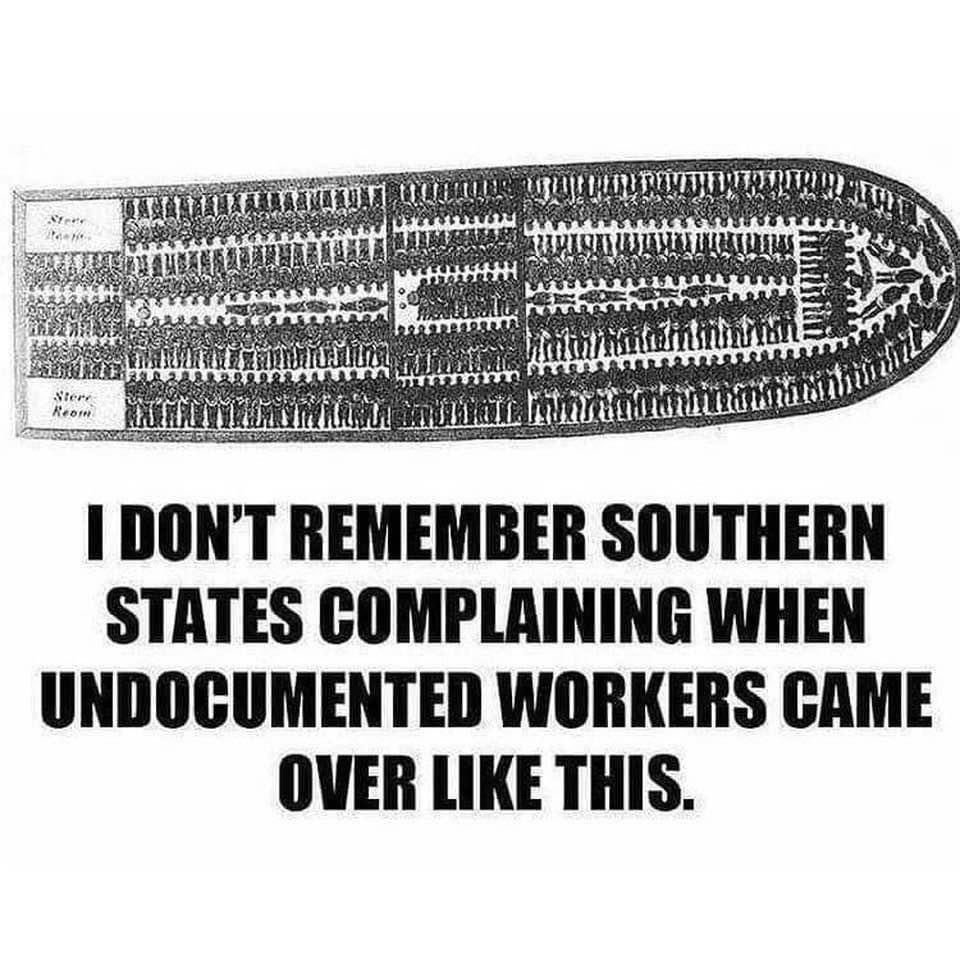 The Unfiltered Truth