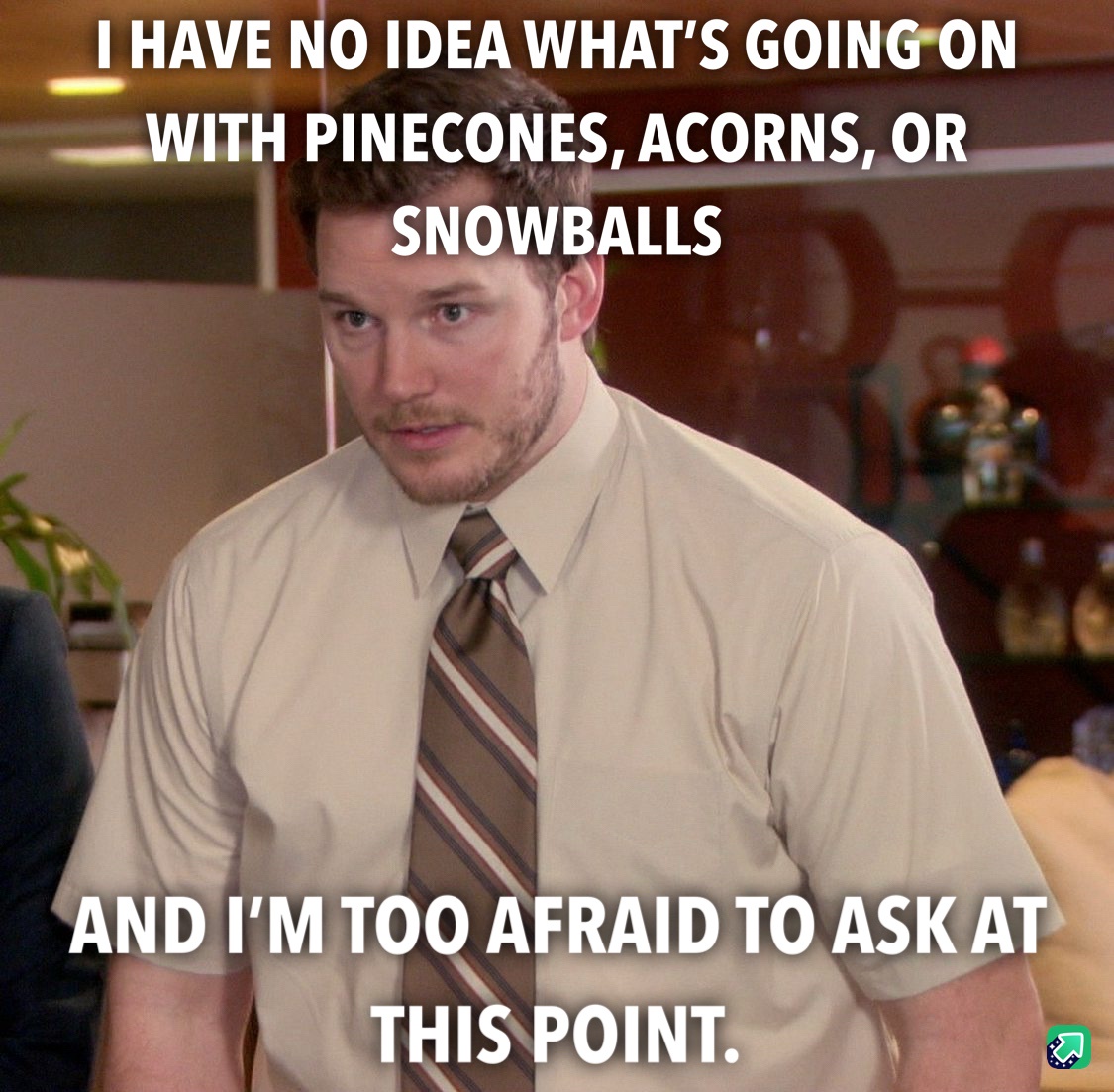 Pinecones, Acorns, and Snowballs: Oh My!