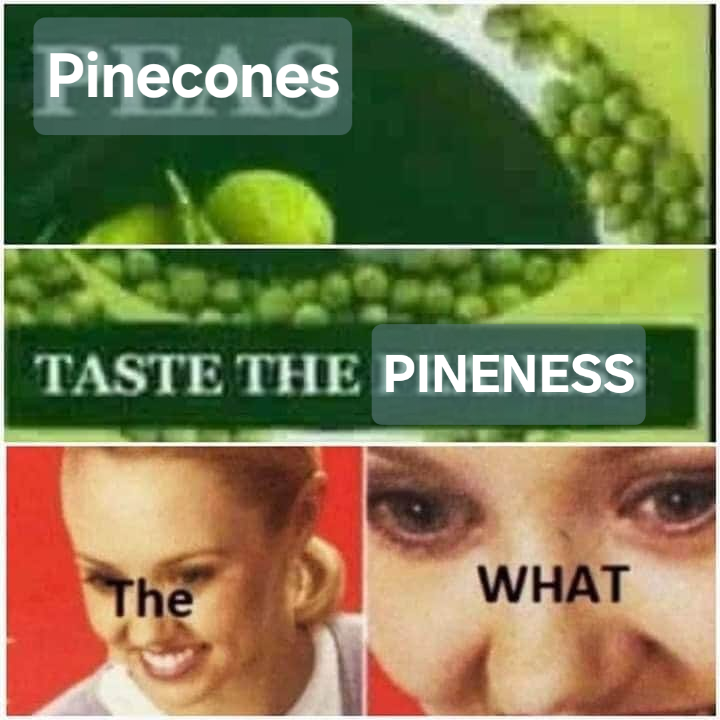 A Taste That Speaks Volumes