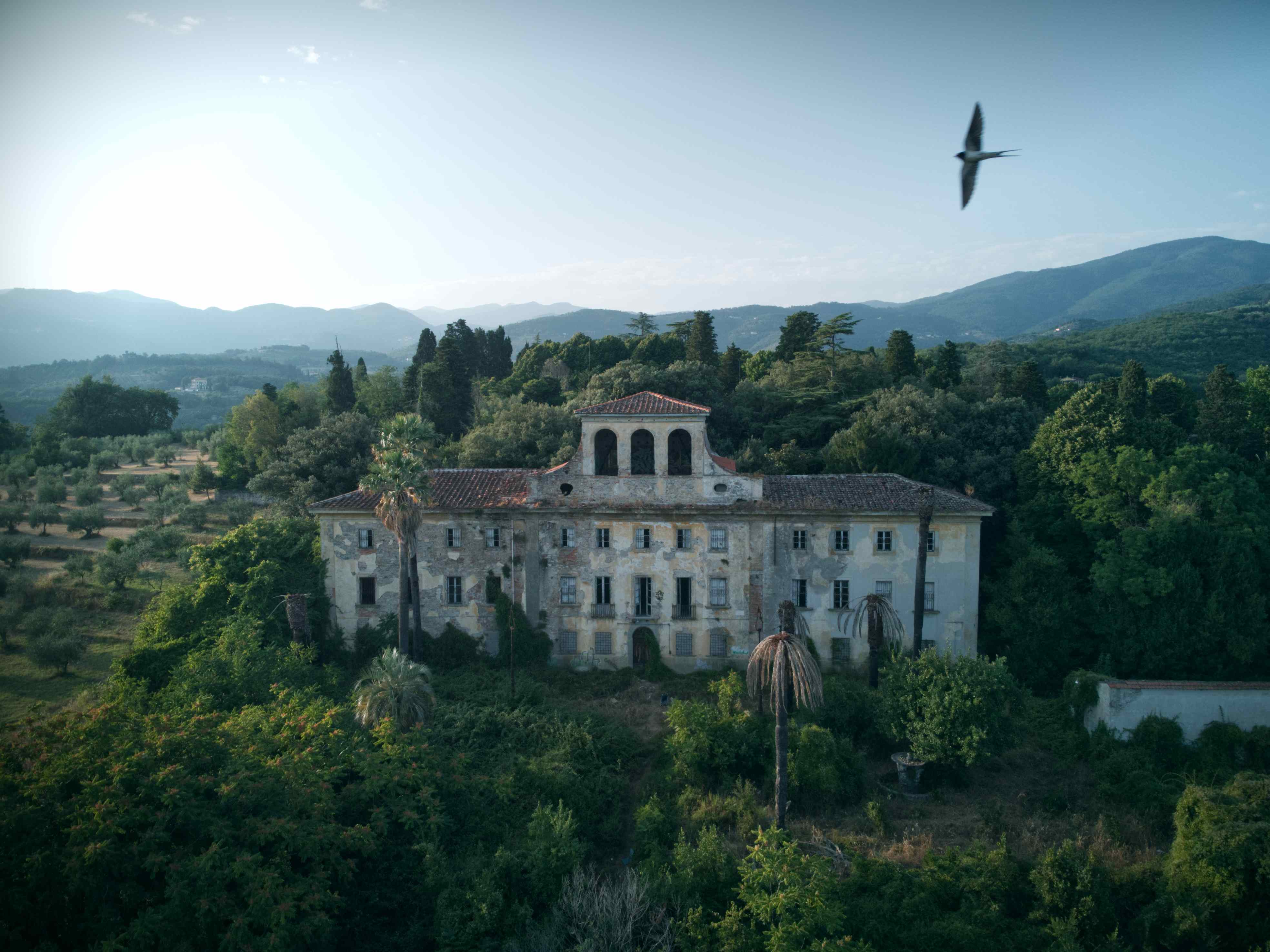 Exploring the Haunting Abandoned Asylum