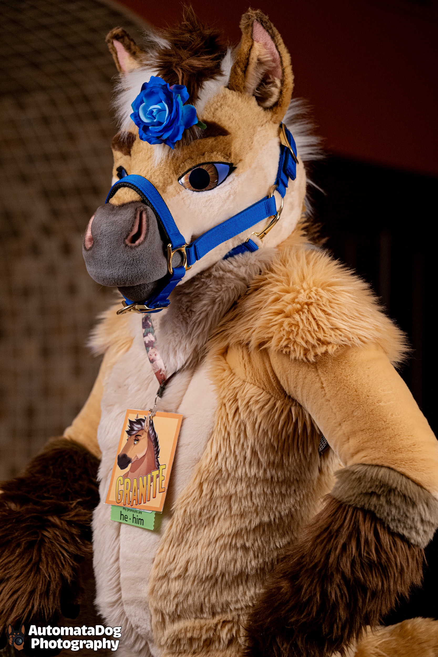 Furry Photography Highlights - Day 421