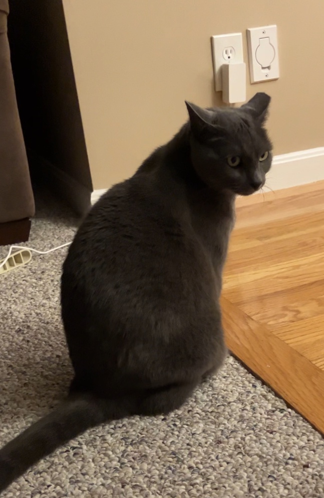 Daily sneak peek at my life: Snick pic #85!