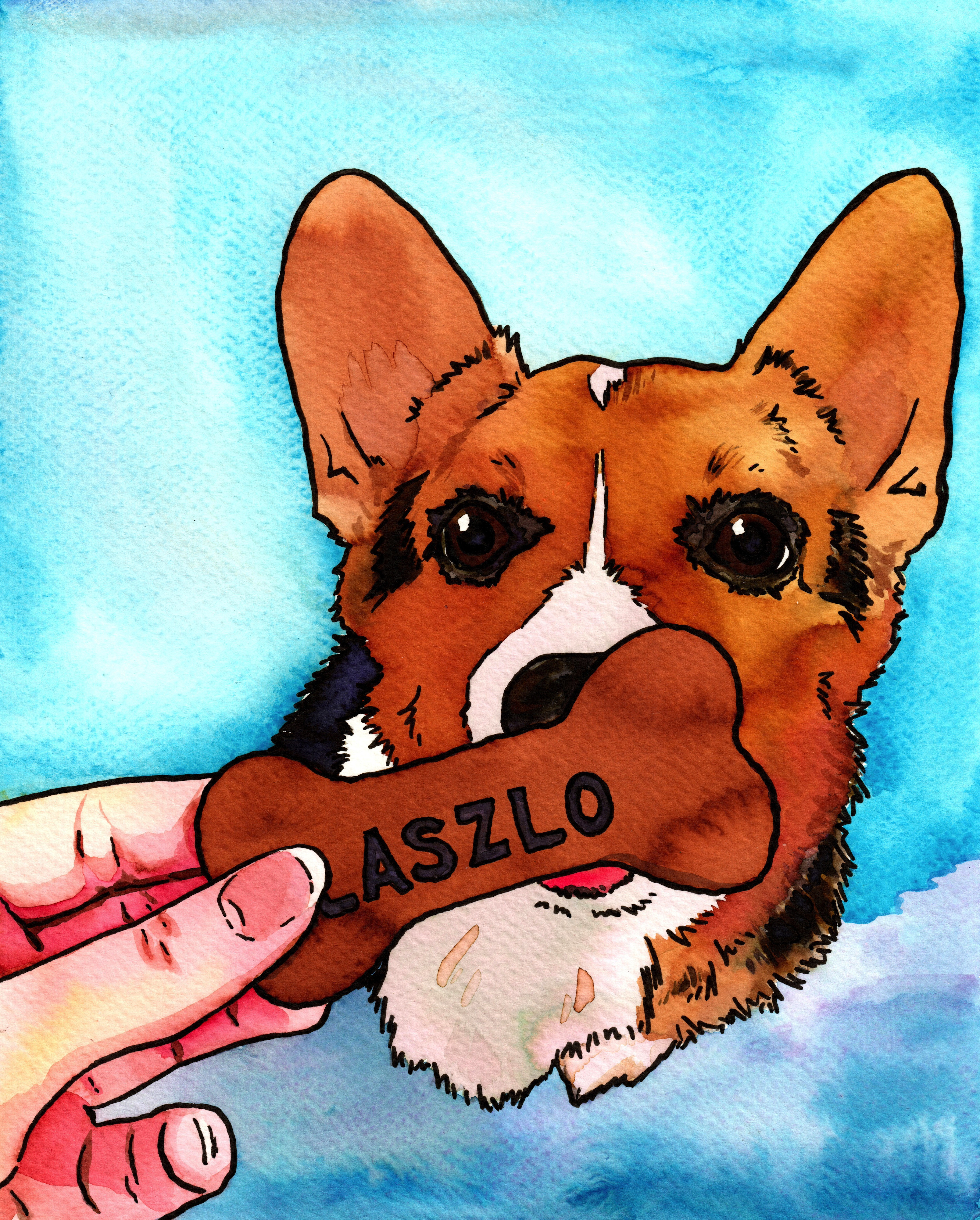 Daily Corgi Art: Meet Laszlo, who’s about to enjoy his treat!