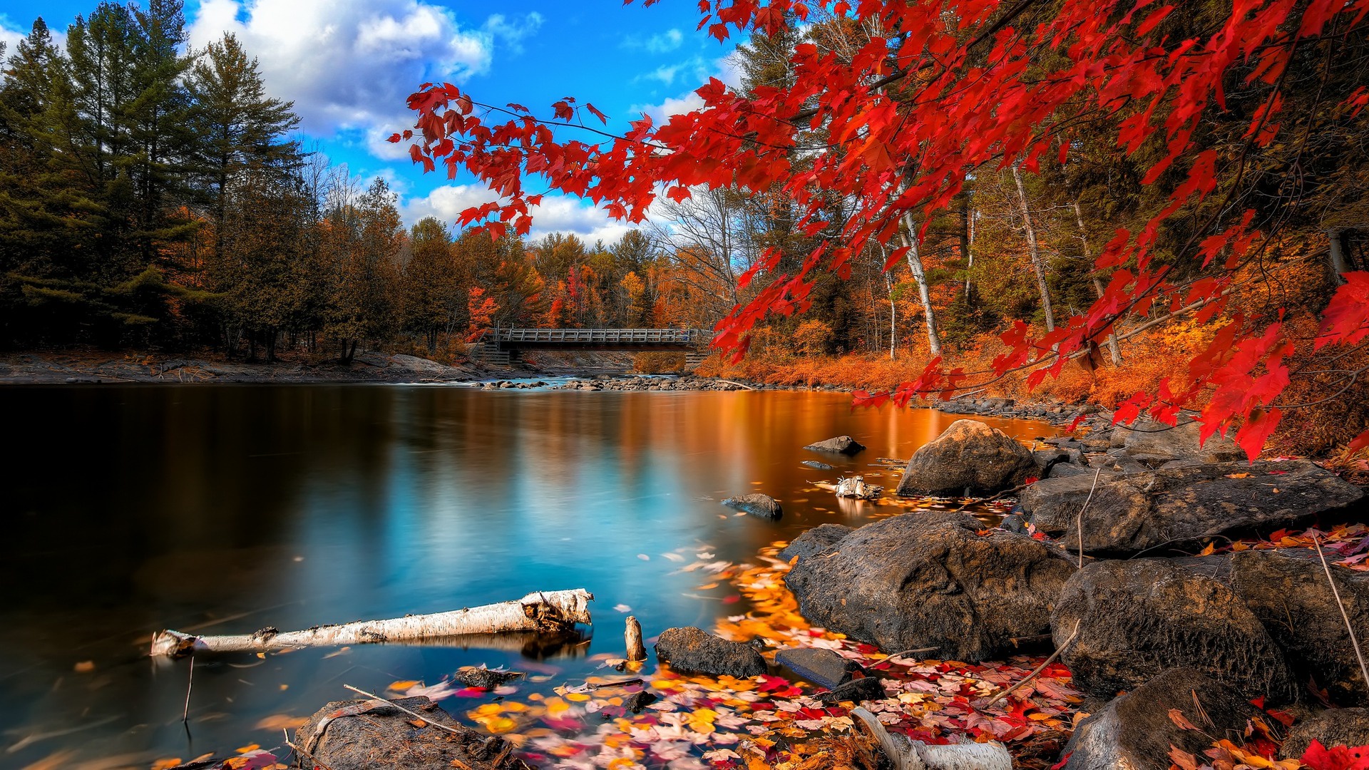Captivating Autumn Scenery to Inspire Your Day
