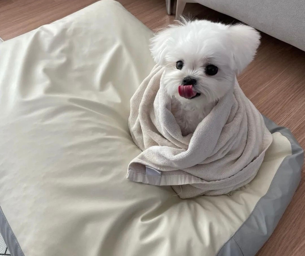 Snuggly Doggy: The Ultimate Cozy Companion