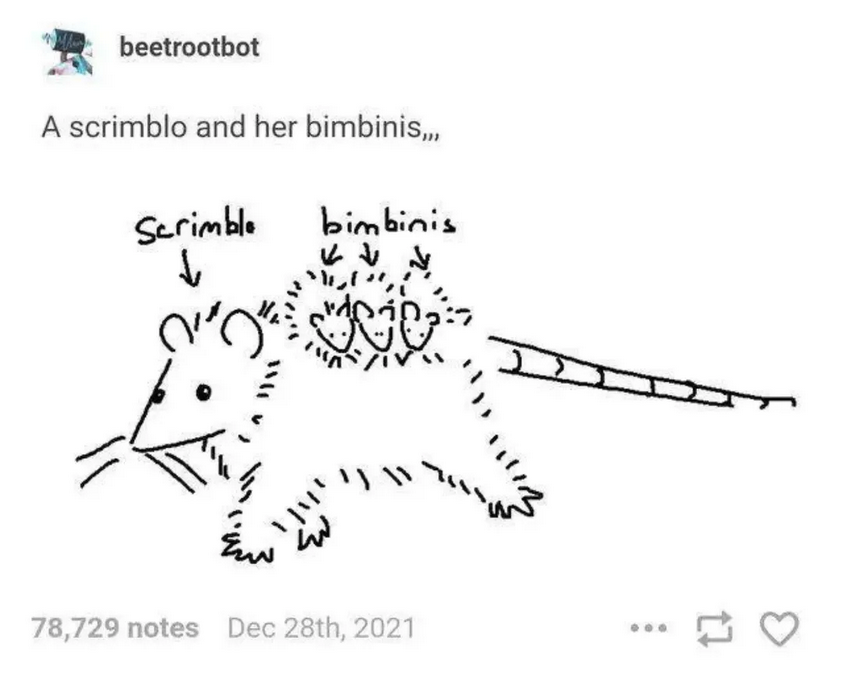 Bimbinis: A Fun Little Adventure