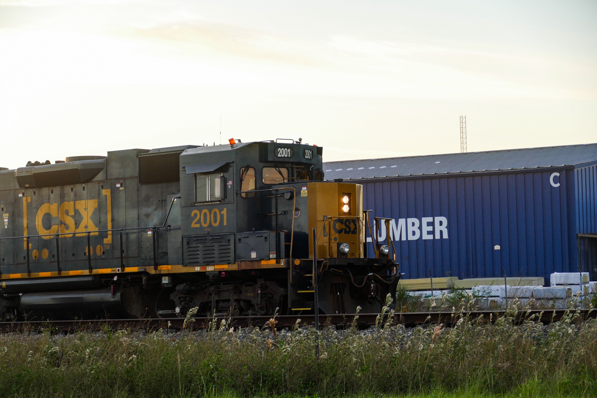 CSX 2001: A Train Enthusiast's Dream