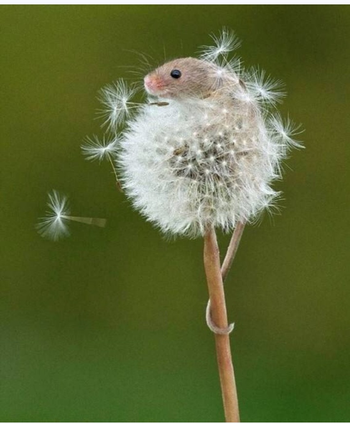 Come on! Spring is finally here!