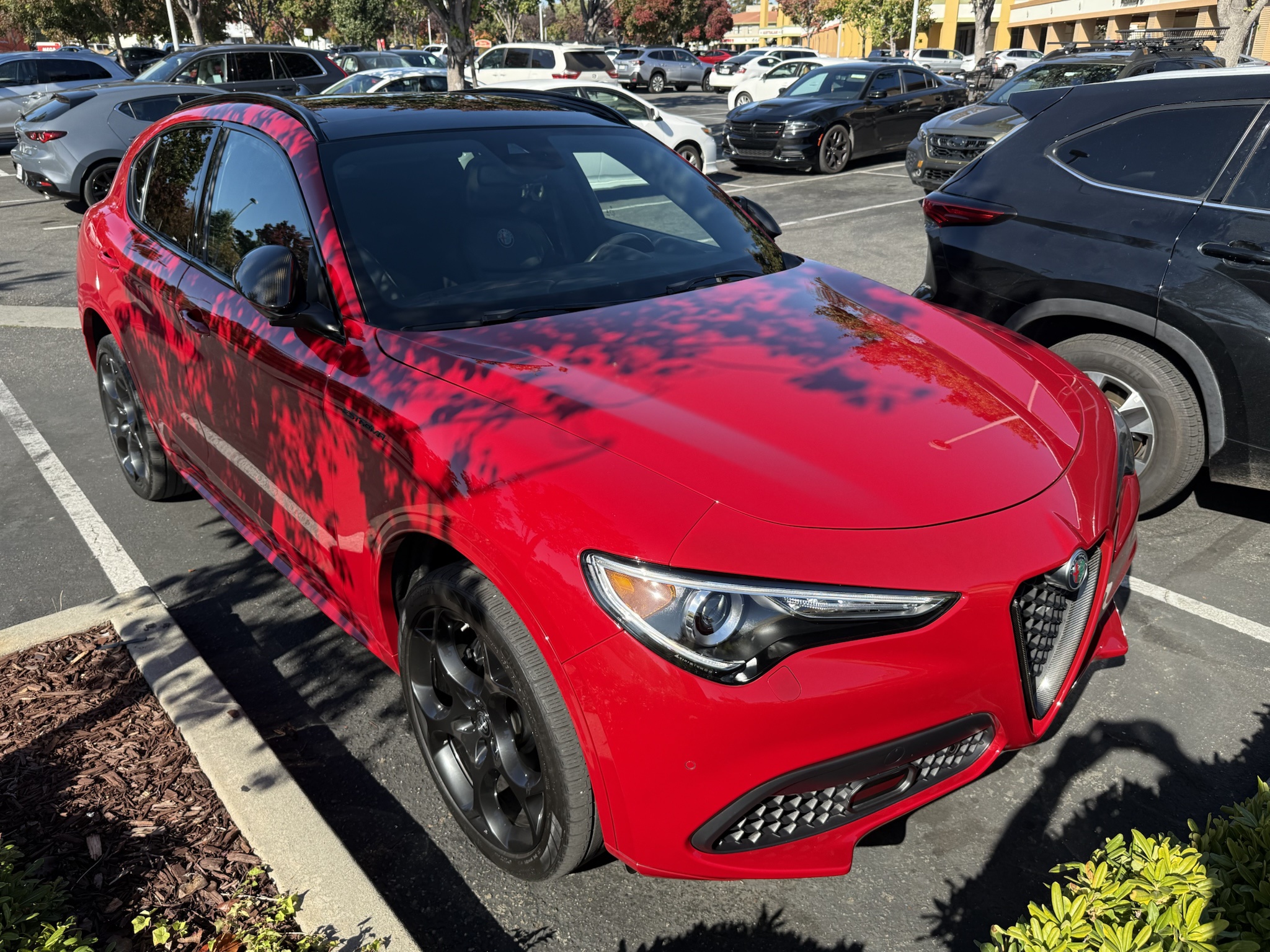 Introducing the Alfa Romeo Stelvio Estrema SUV