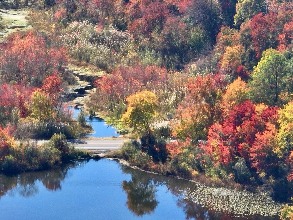 The Essence of Autumn: A Seasonal Reflection