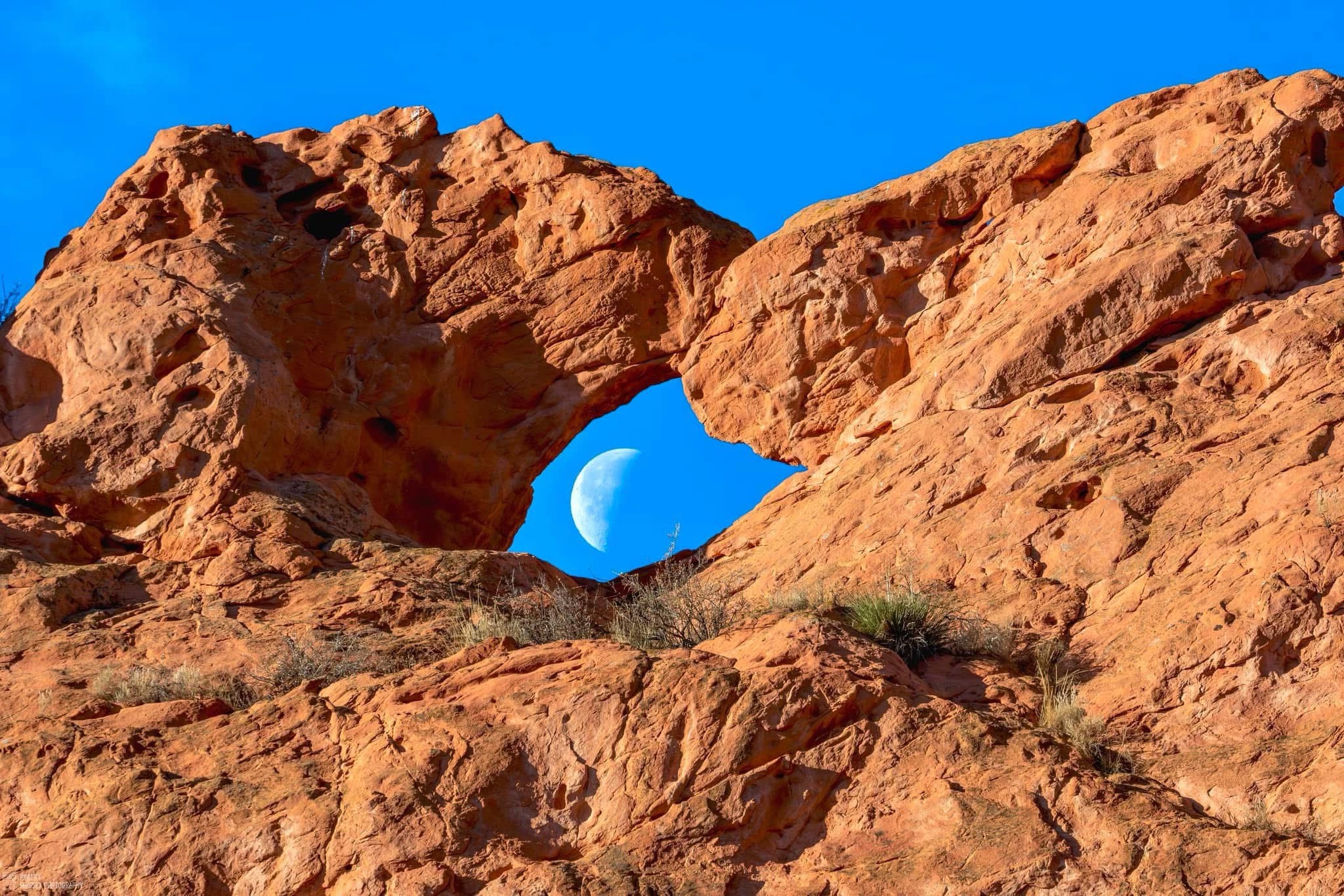 A Stunning View of the Moon: Nature's Nightlight