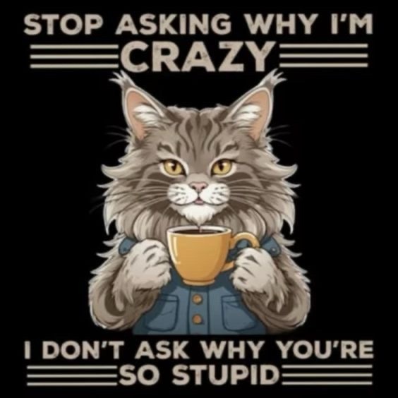 Absolutely Bonkers and Hilarious!