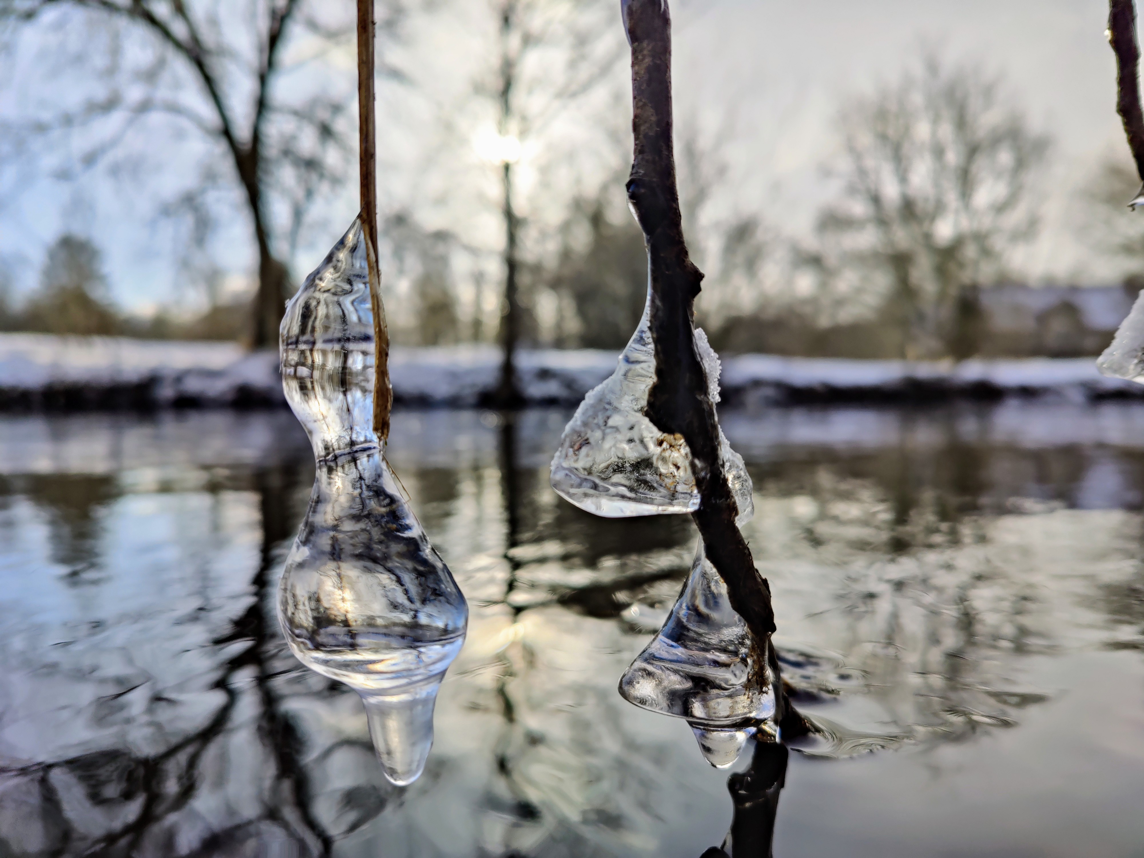 A serene winter stroll by the river