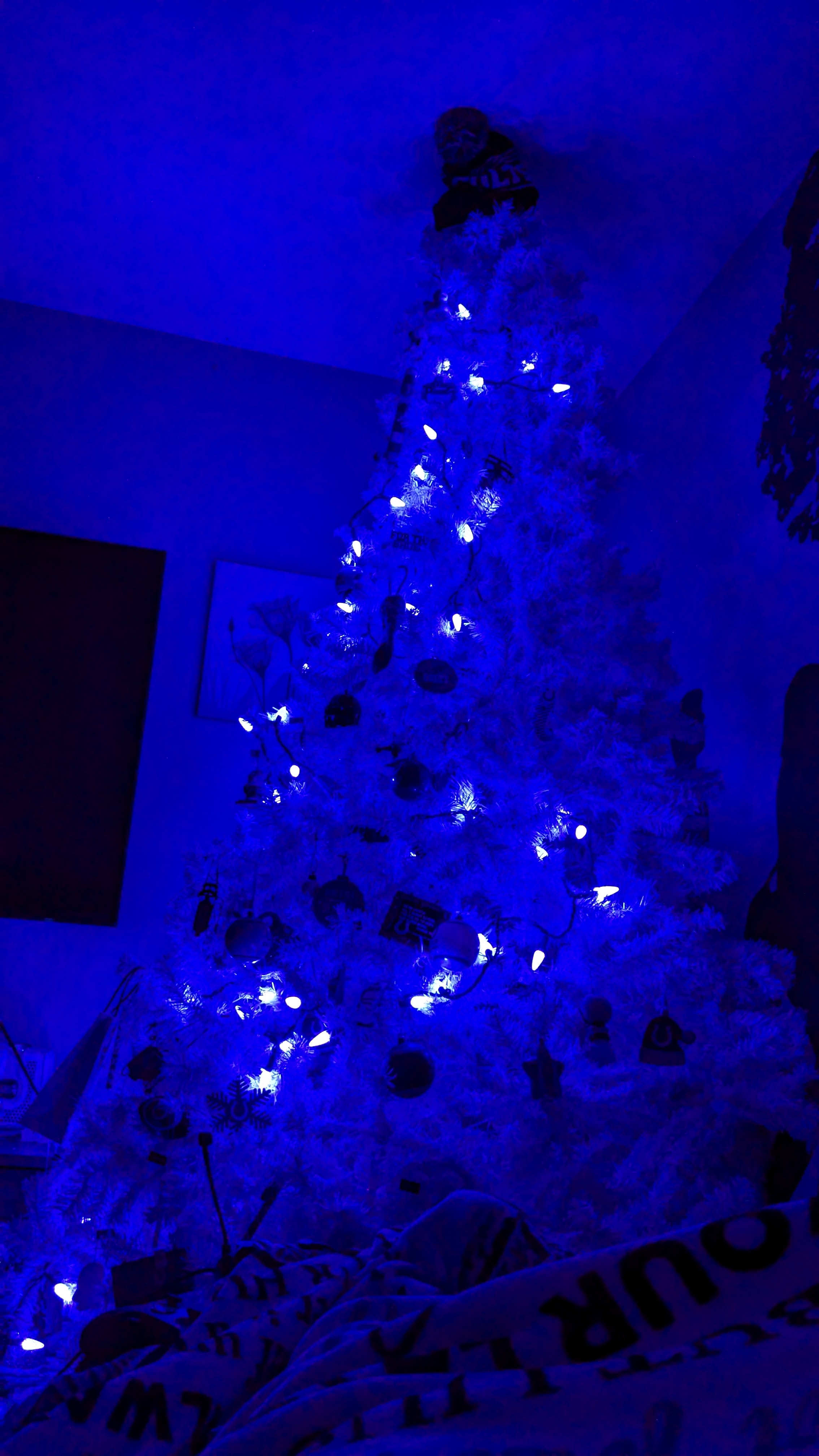 Happy Holidays, Indiana! Let’s go, Colts!