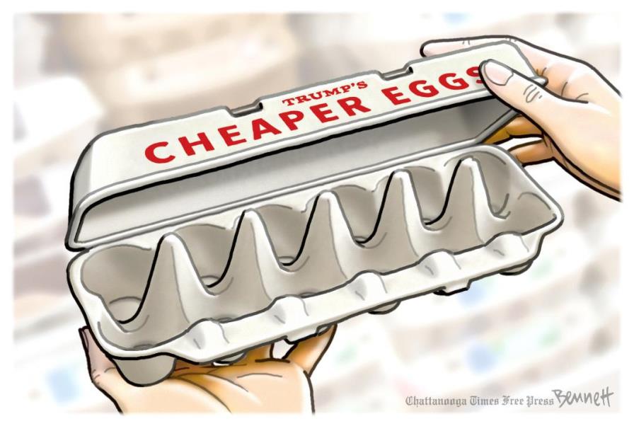 Trump's Budget-Friendly Egg Dilemma