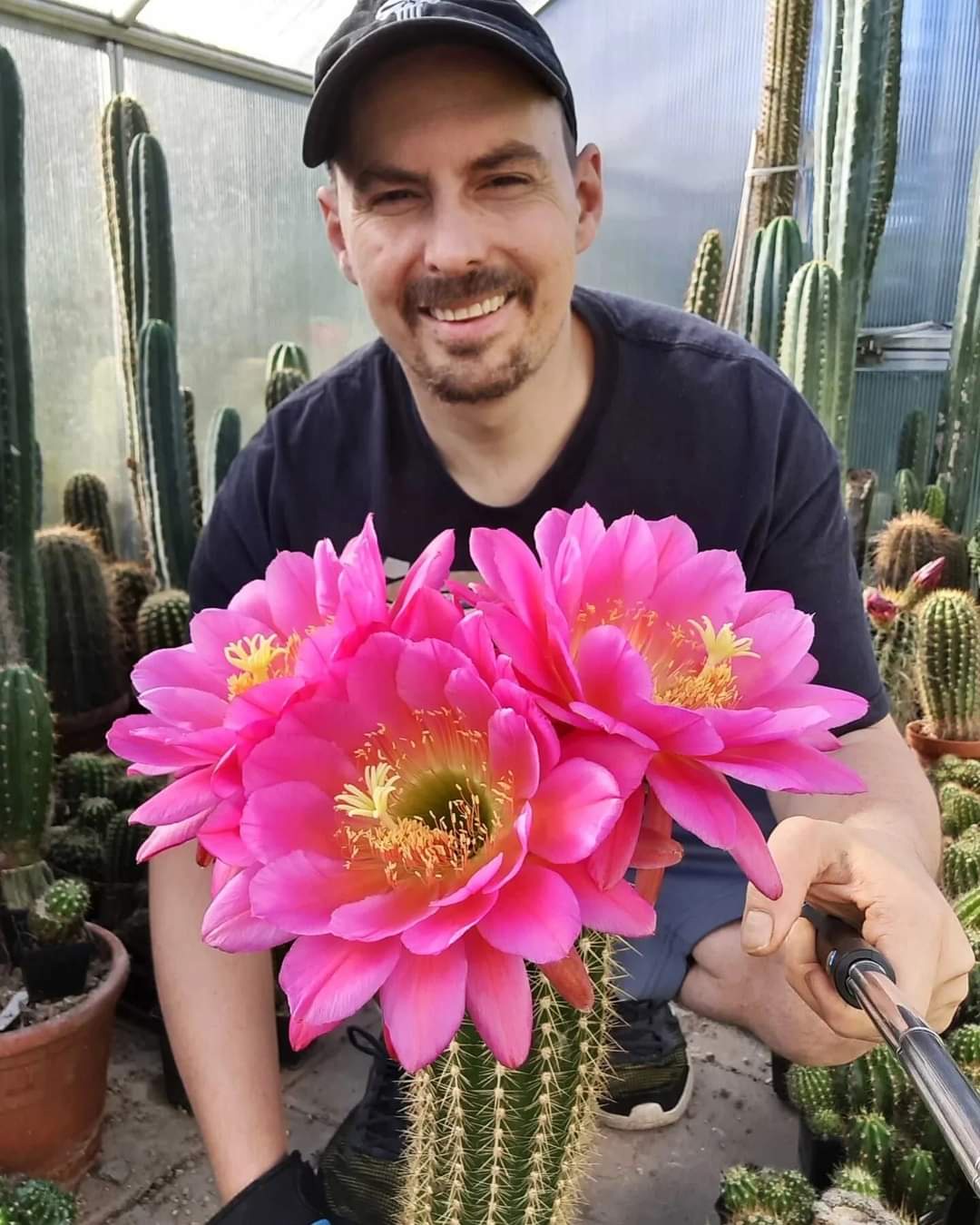 Cactus of the Day: A prickly highlight!