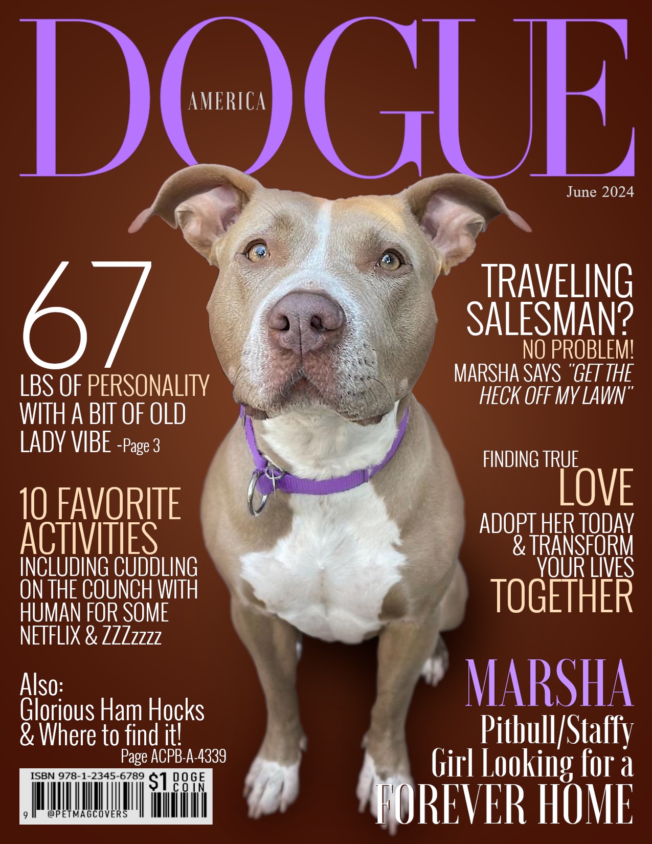 Marsha's Quest for a Loving Forever Home