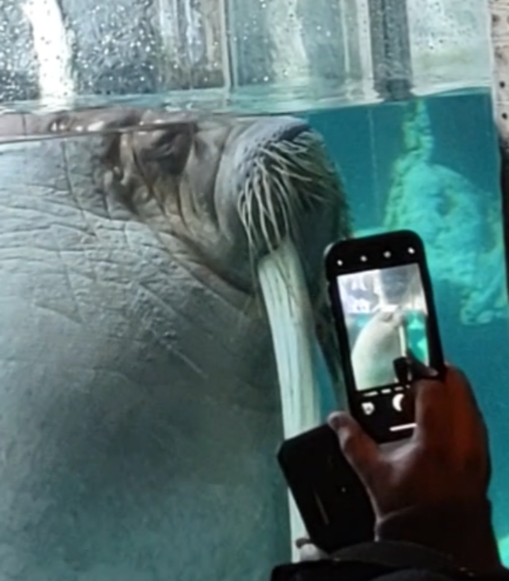 Say cheese and capture the moment!