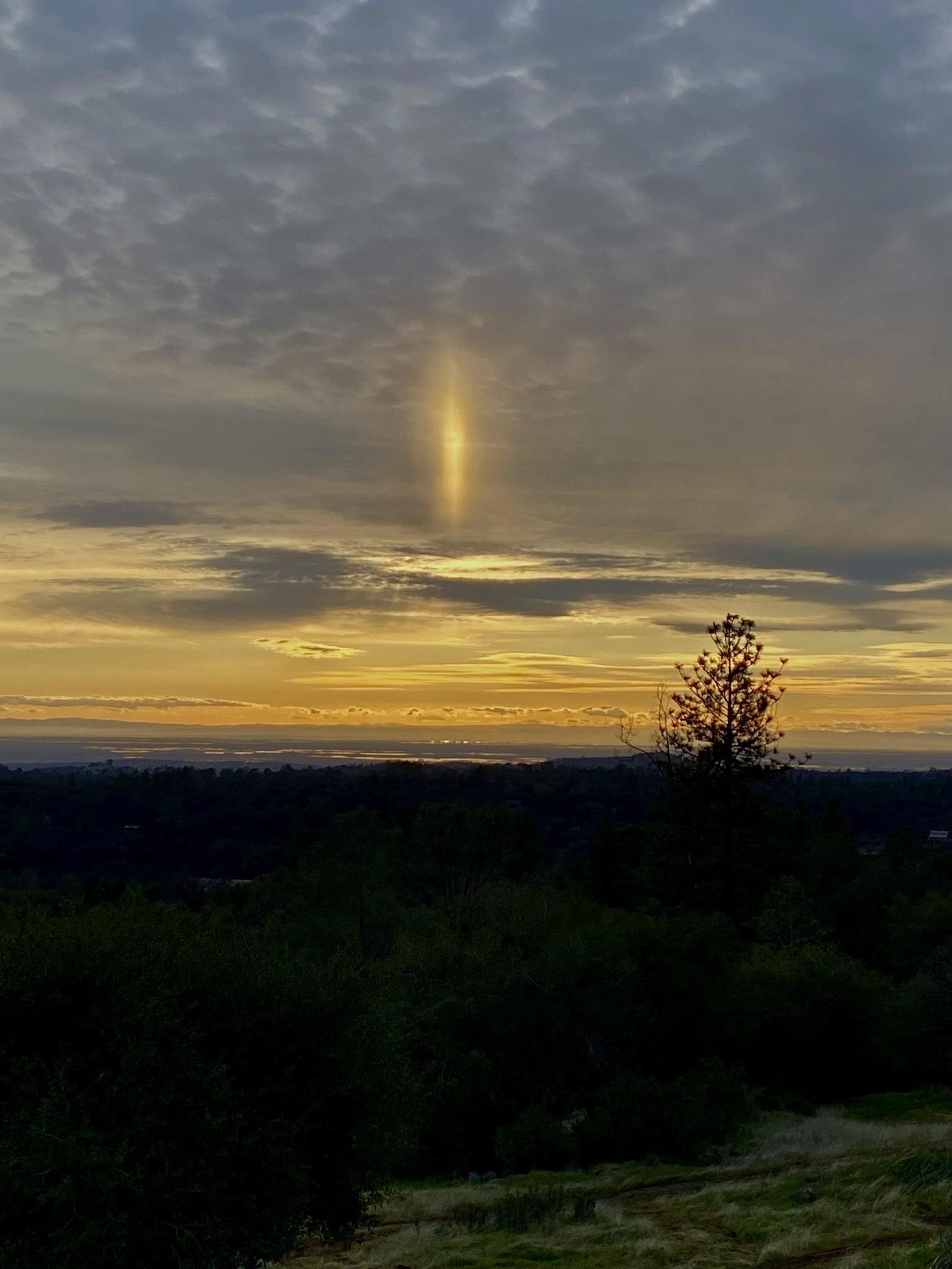 Behold the Sun Portal!