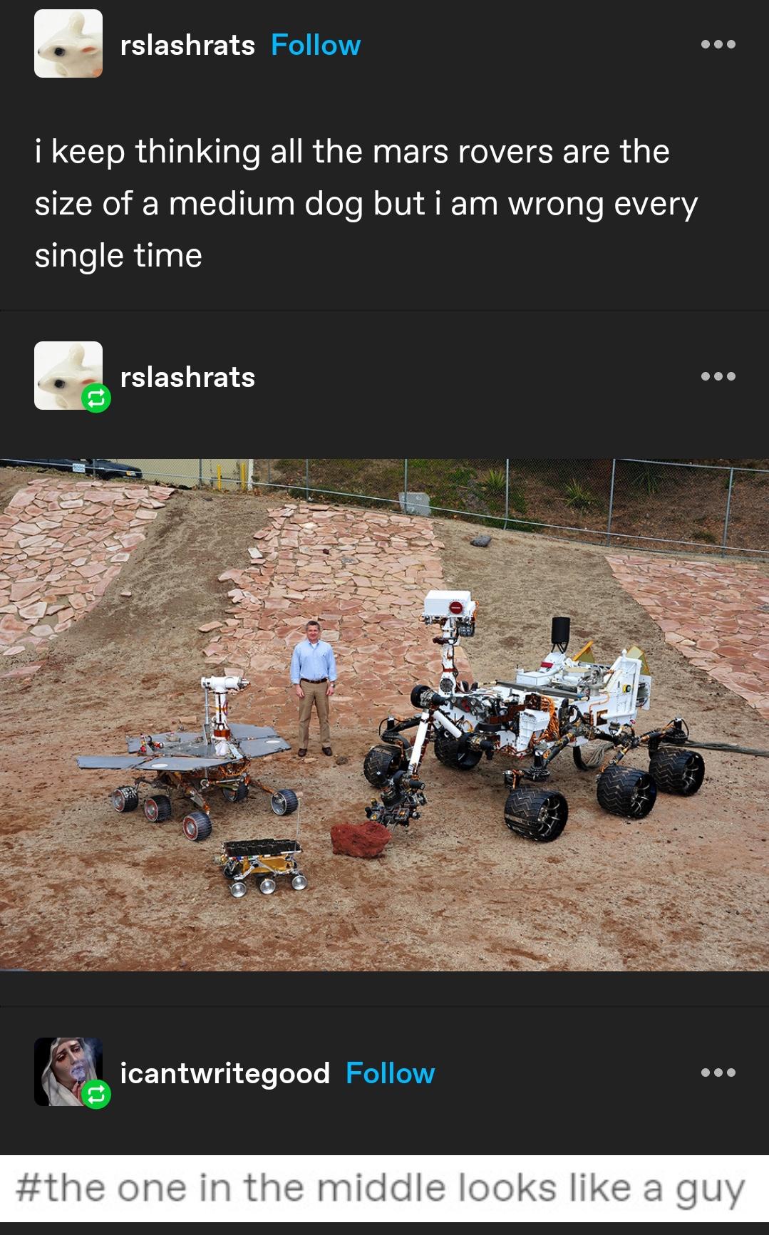 Human for Scale: Putting Things in Perspective