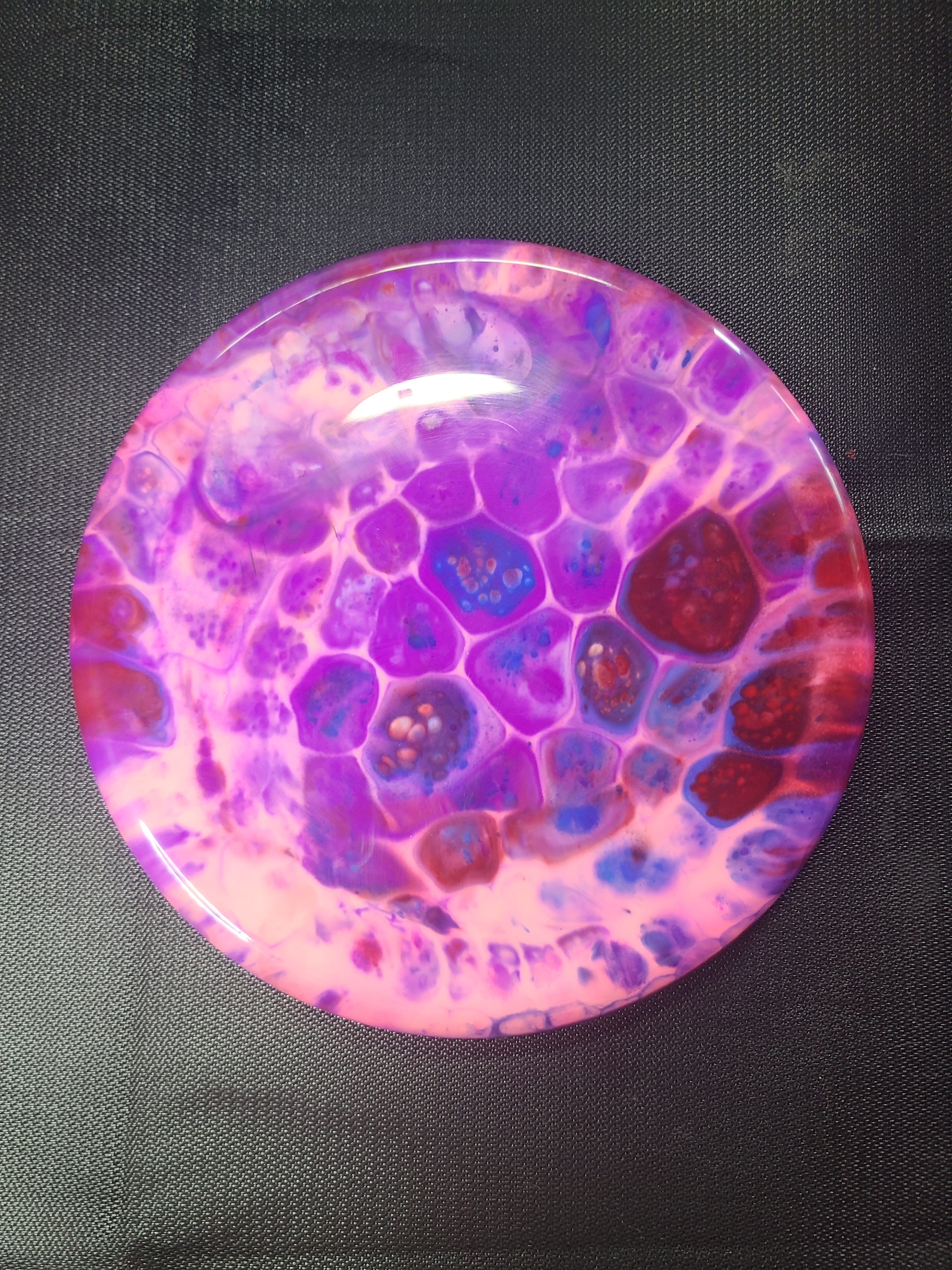 Check out these fully submerged cell dyes floating on icebergs!