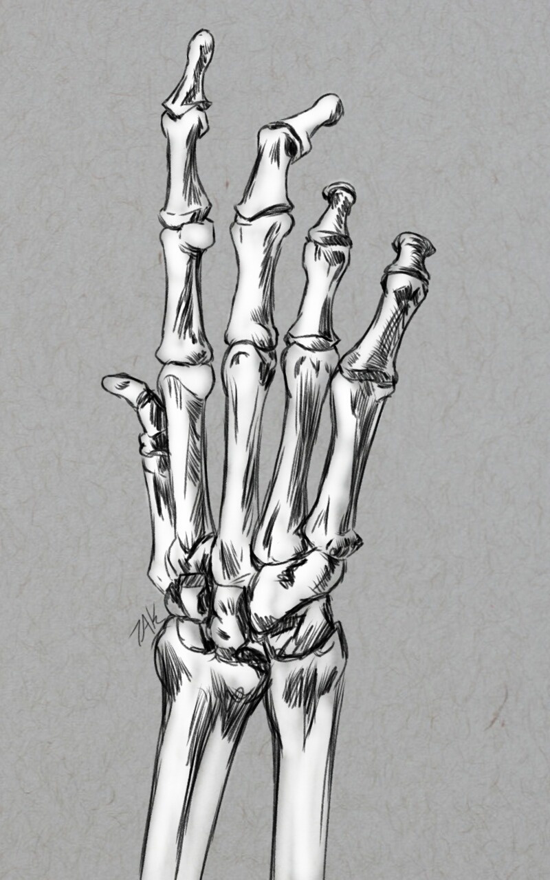 Daily Sketch Challenge: Mastering Hand Studies