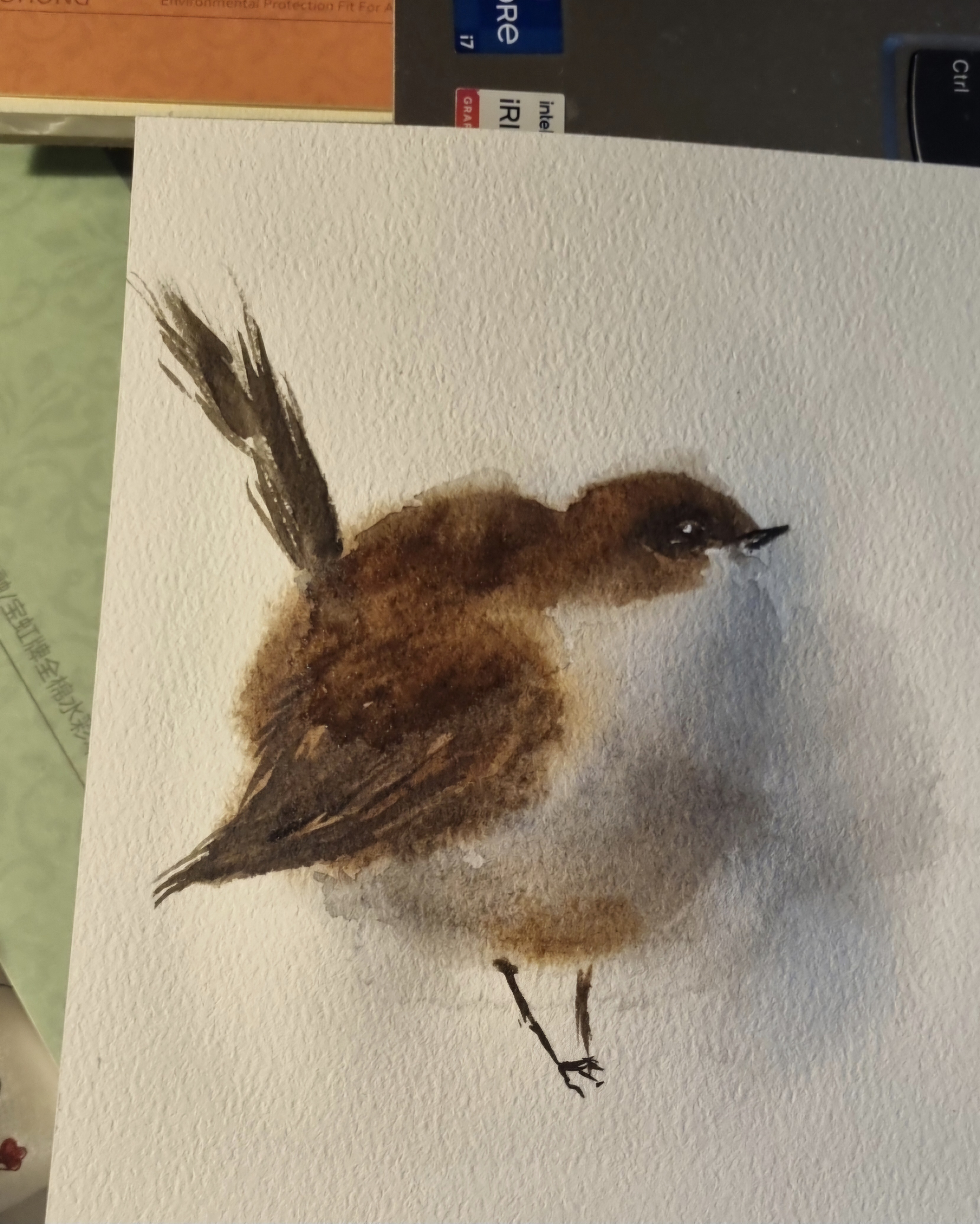 The Fearless Sparrow: A Symbol of Courage
