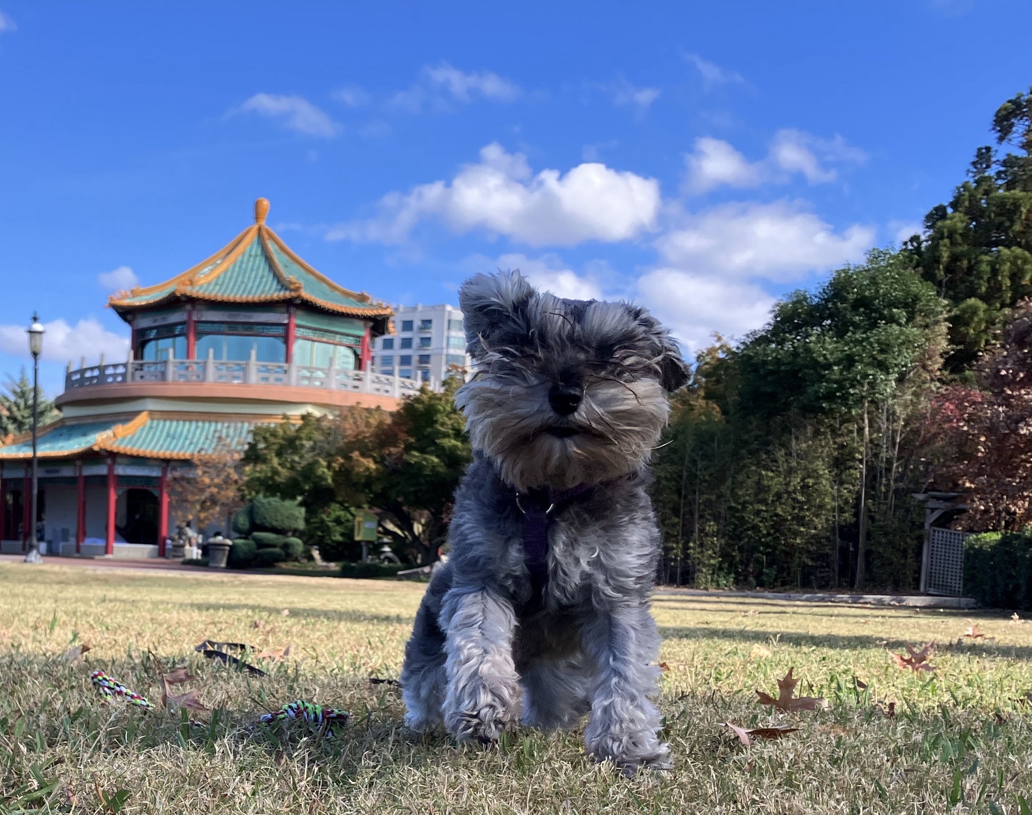 It's incredibly windy out here!