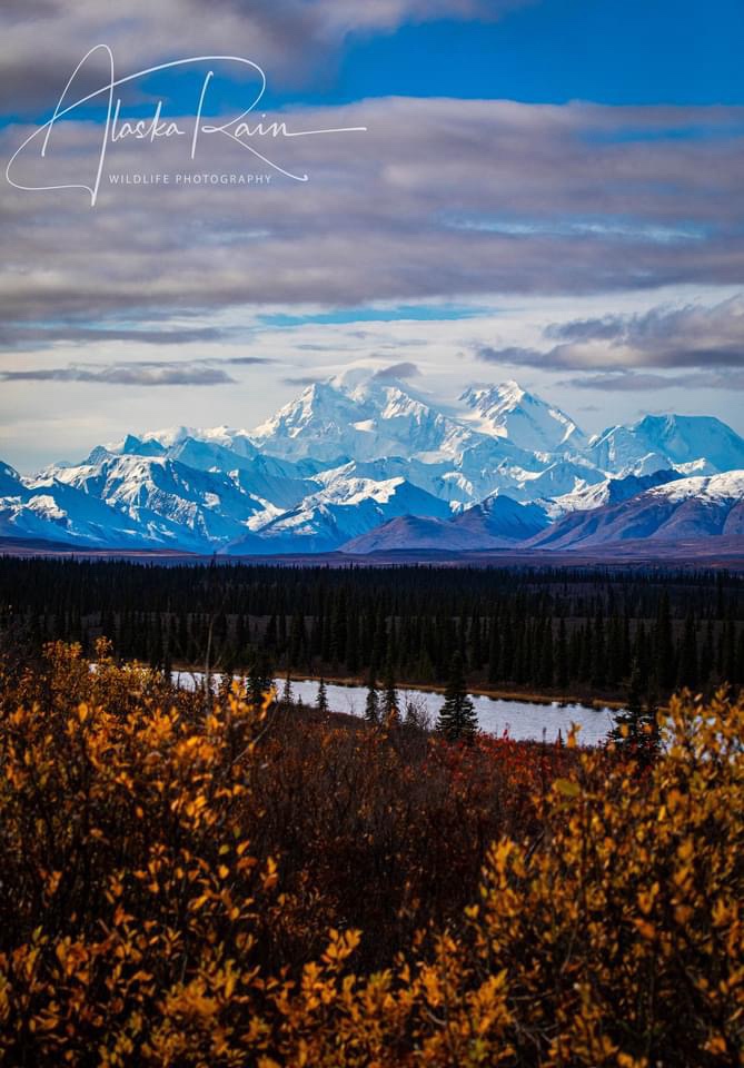 Discovering the Beauty of Alaska