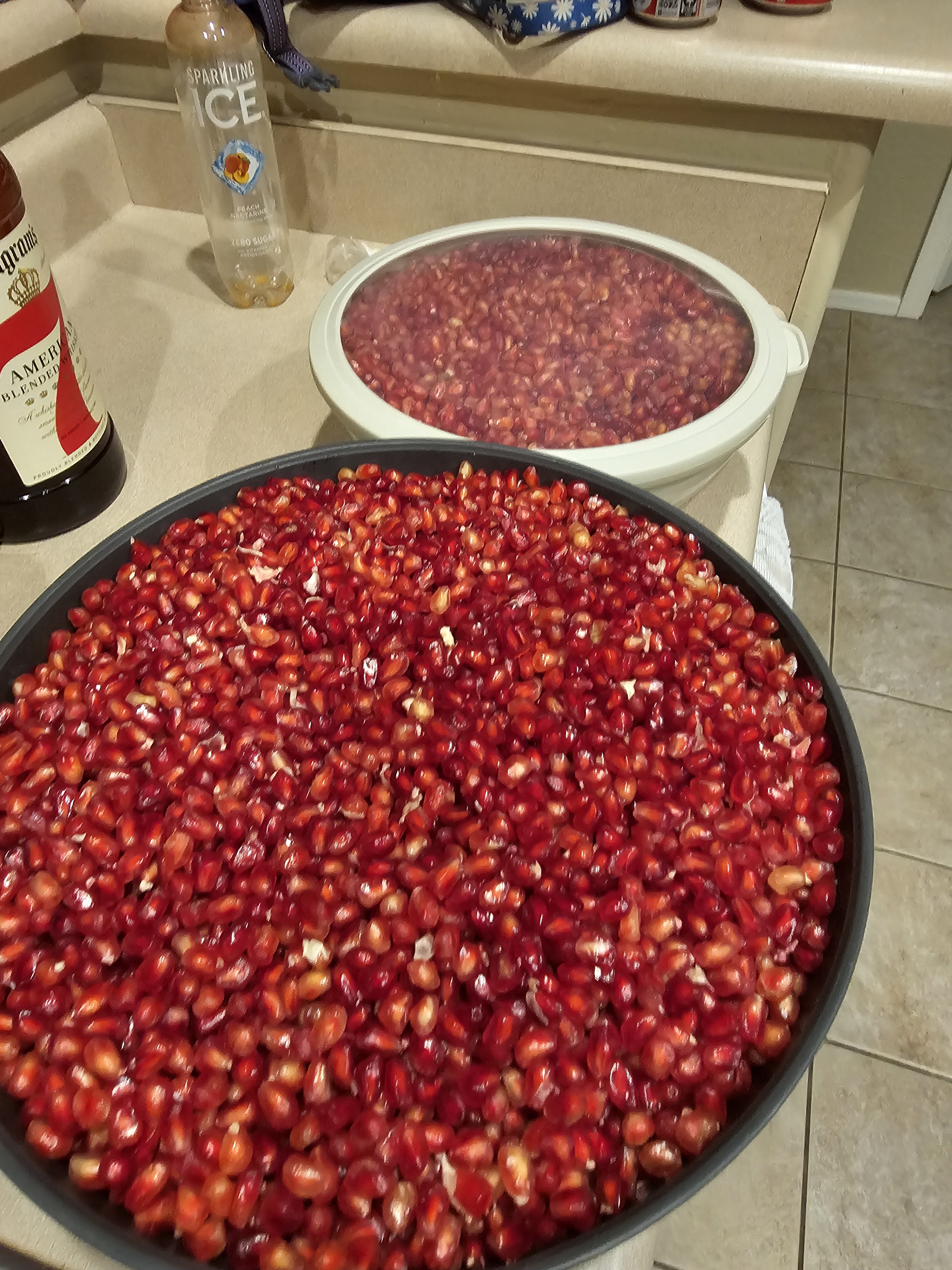 Harvesting Memories: The Last Pomegranates from My Tree
