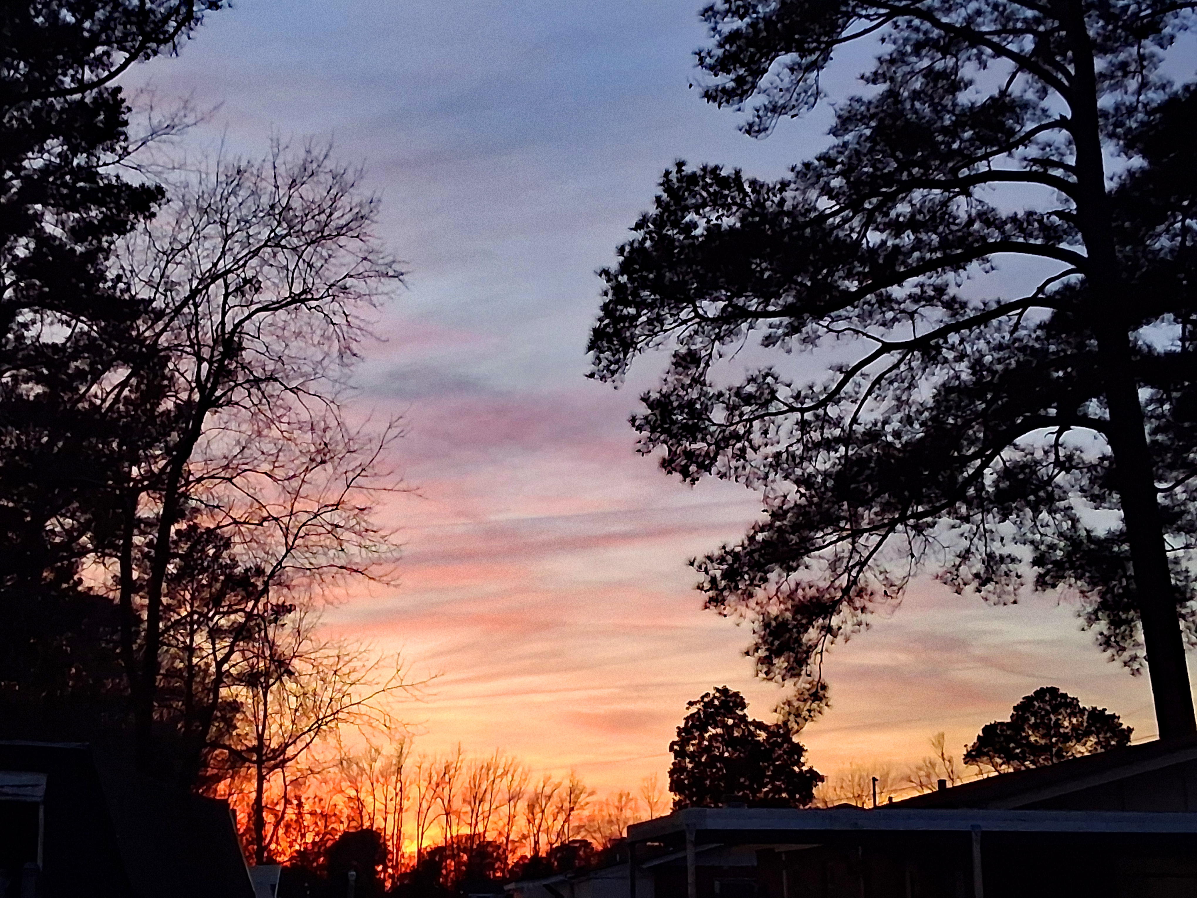 A Beautiful Evening Sky Framed by Tree Silhouettes