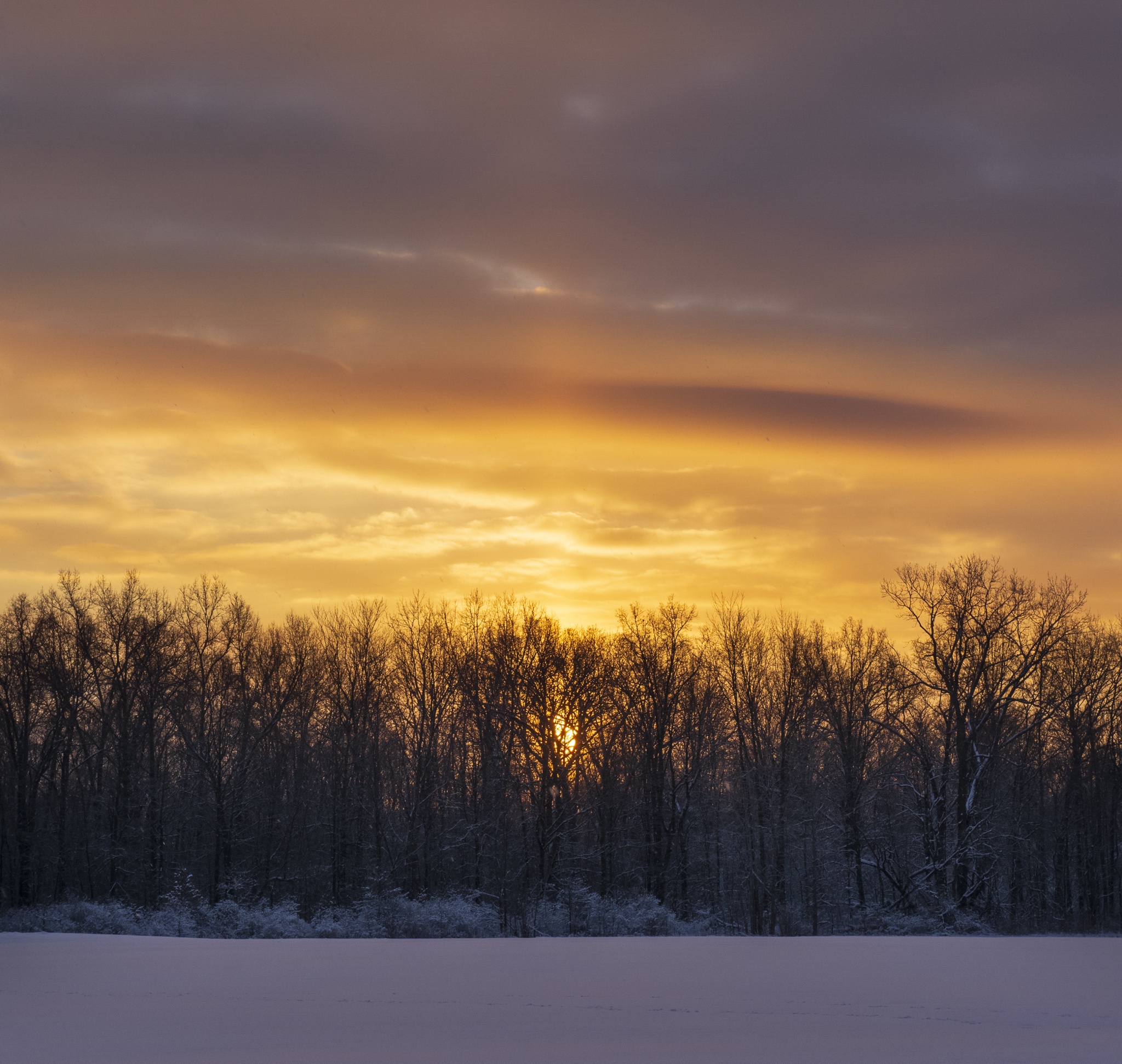 A Magical Snowy Sunset in Michigan