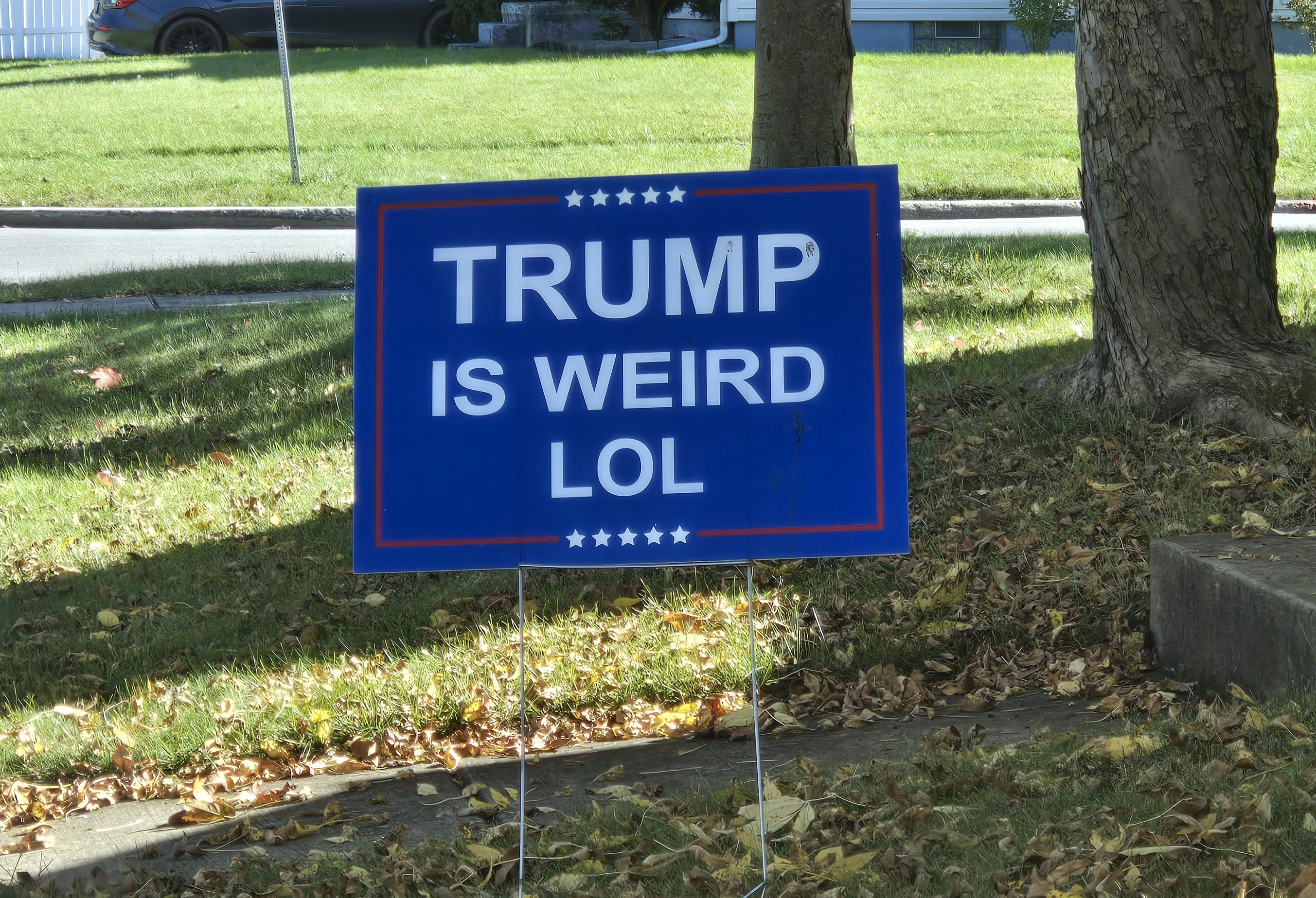 The Bold Statement of a Trump Lawn Sign