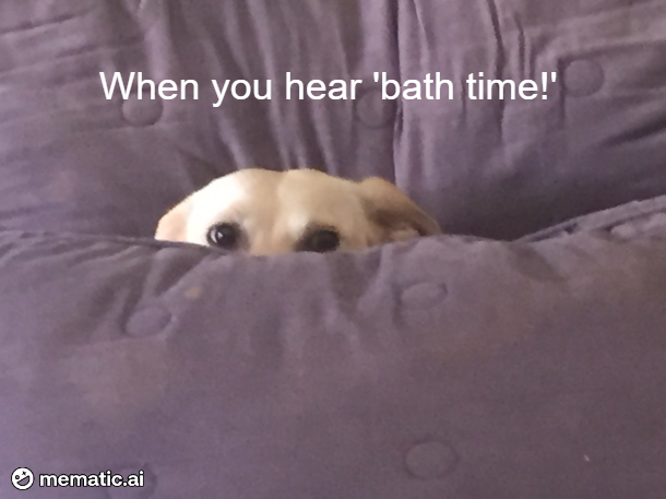 I still remember my first dog, trembling during bath time.