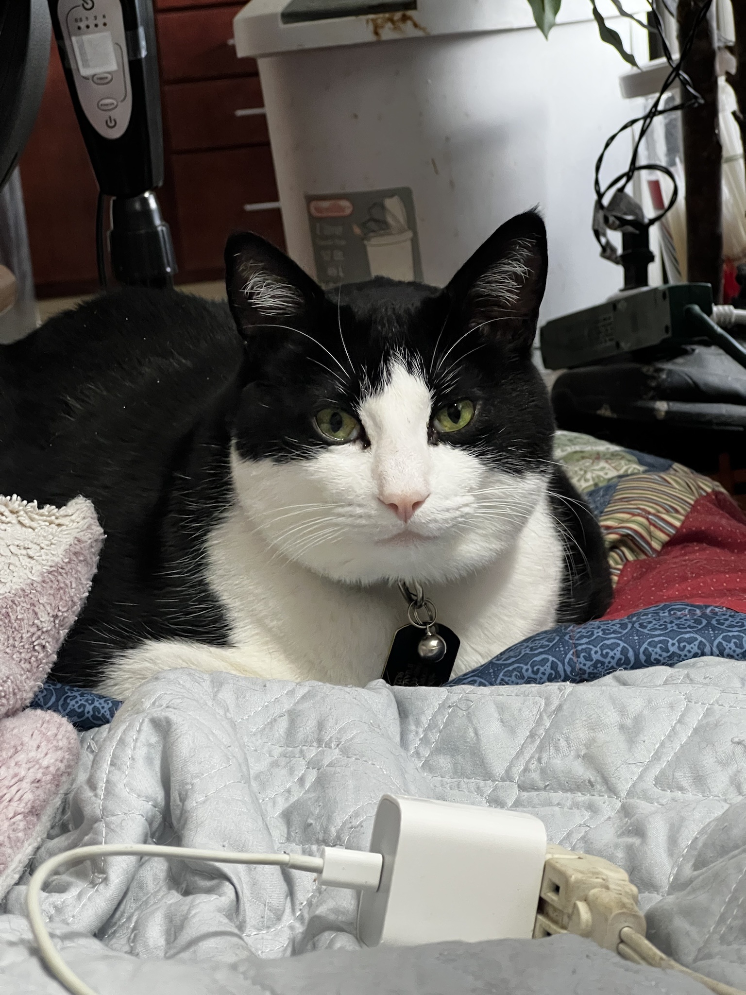 Get That Camera Out of My Face: A Hilarious Moment