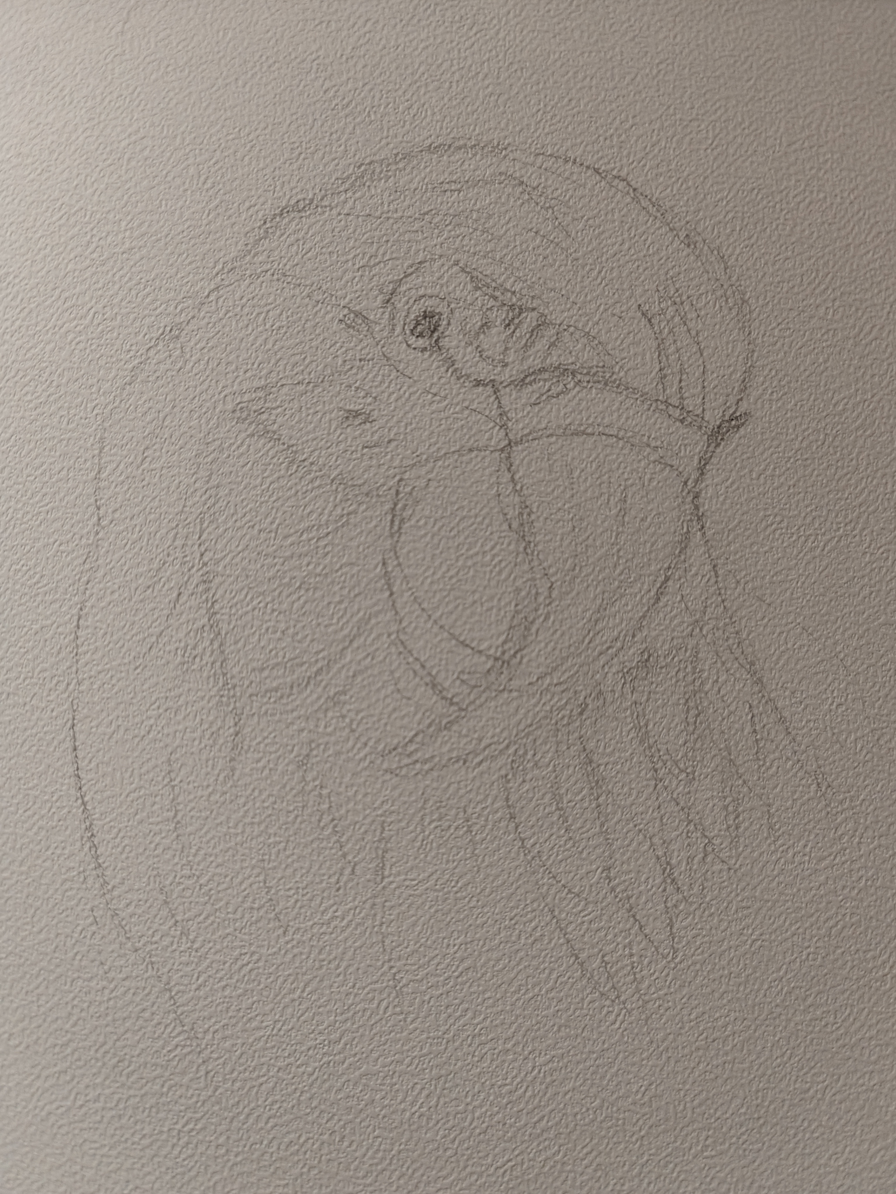 Meet the charming parrot!
