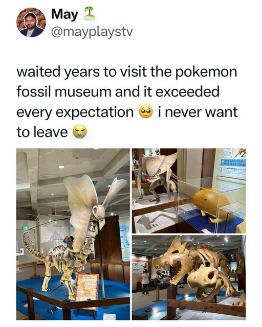 The Legendary Pokémon Fossils: A Nostalgic Throwback