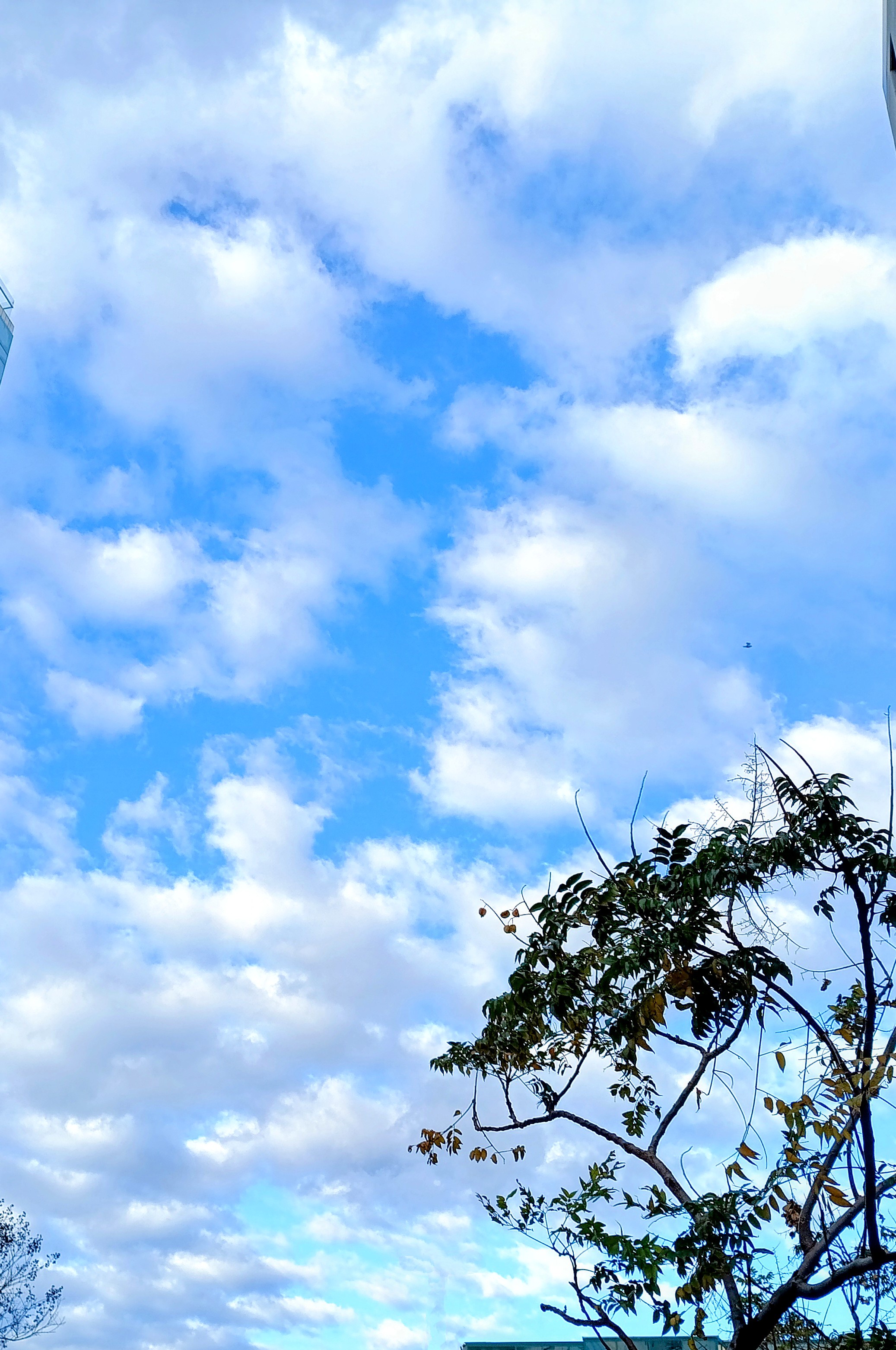 February Sky: A Beautiful View