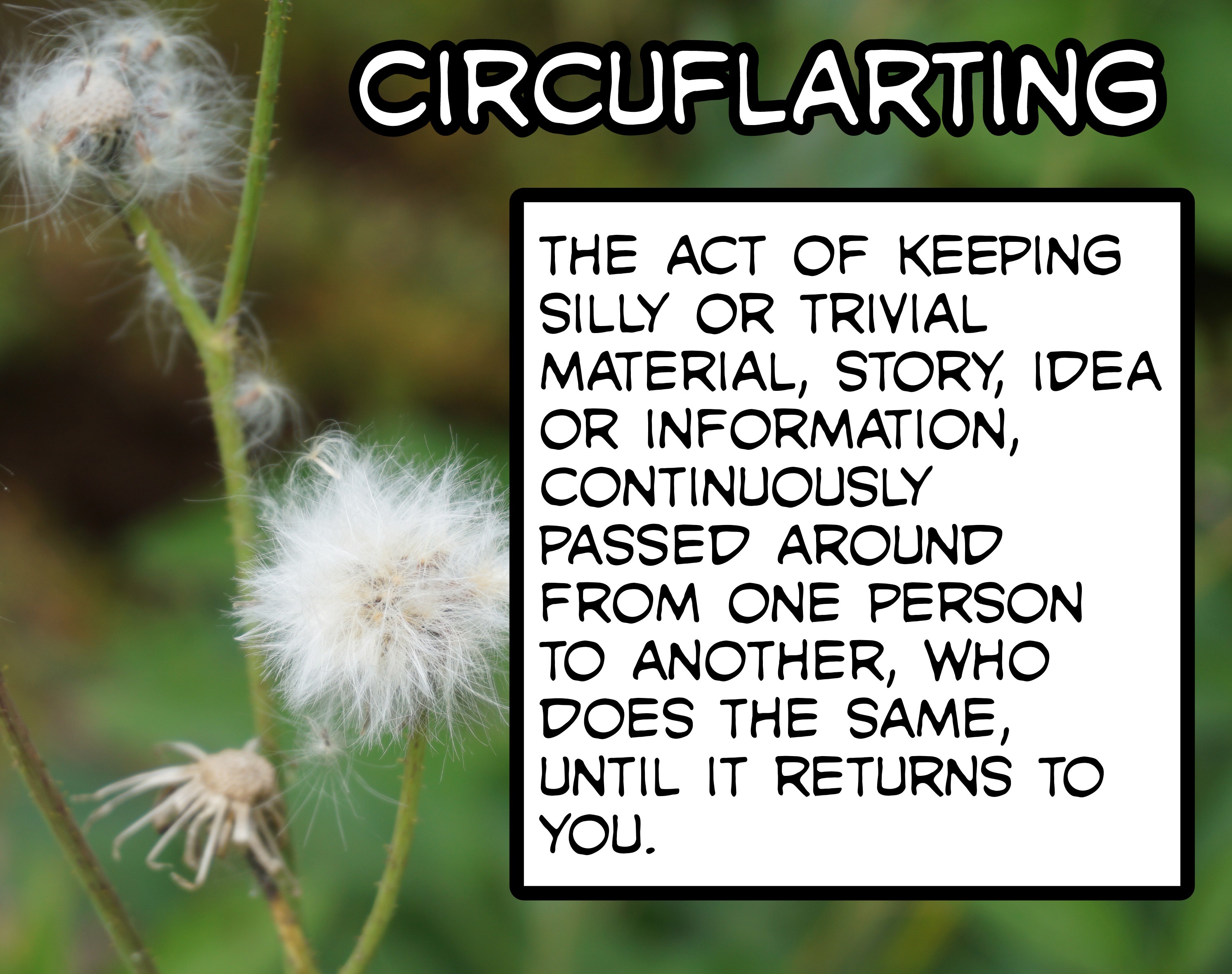 The Art of Circuflarting: A Unique Skill