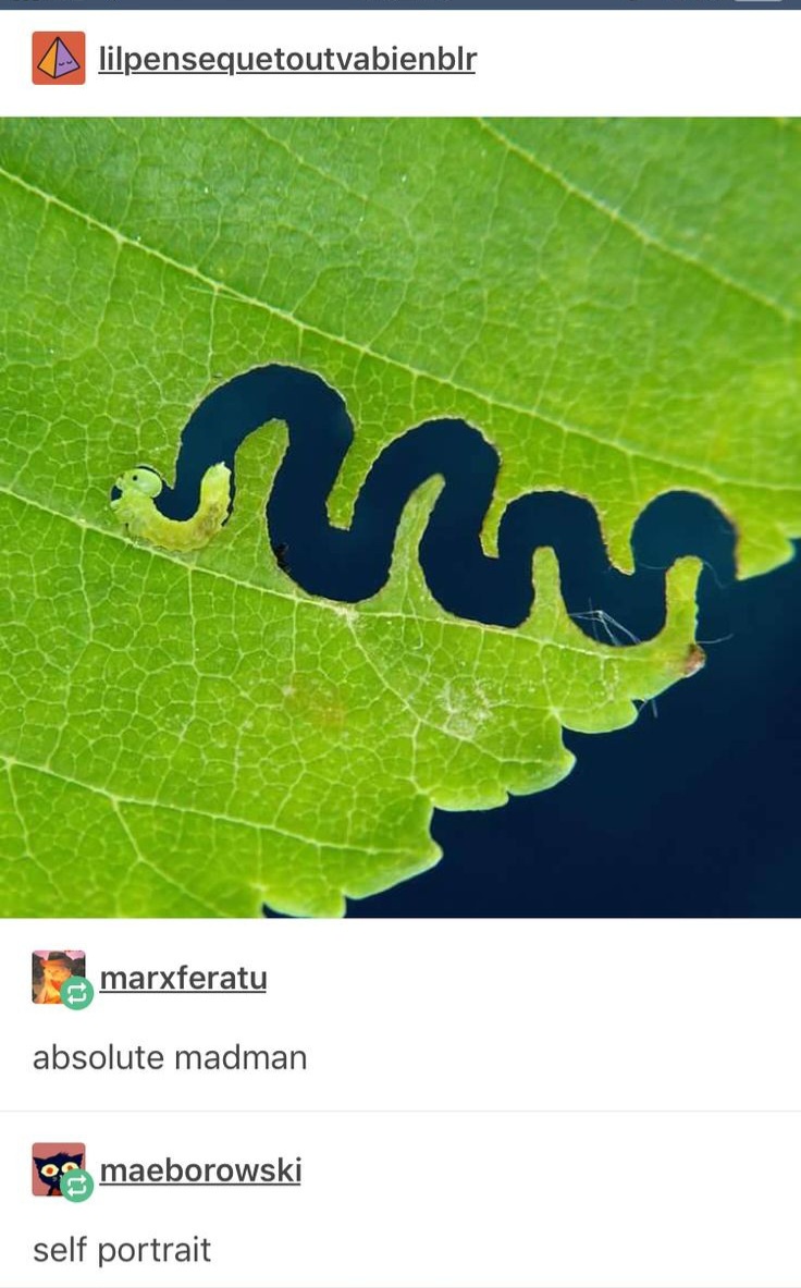 A whimsical cover that looks straight out of a children's storybook