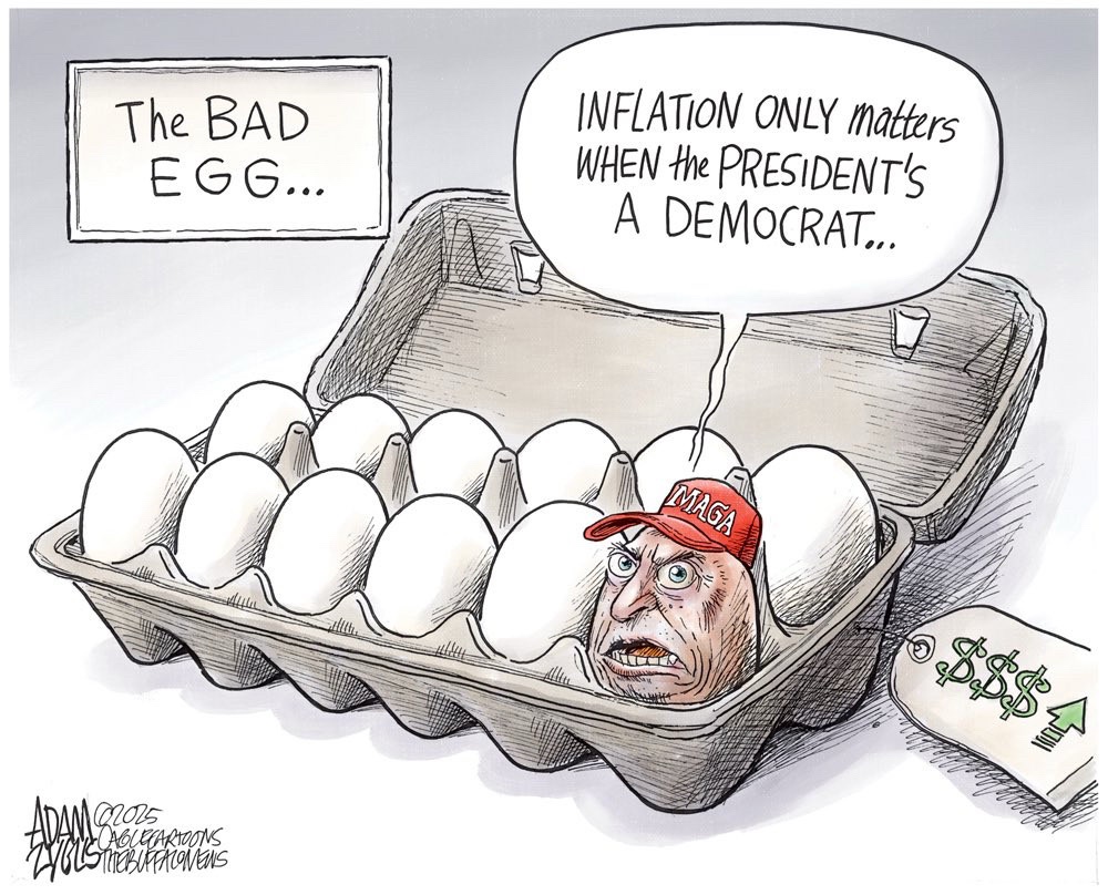 Maga Chickens: The Ultimate Cowardice