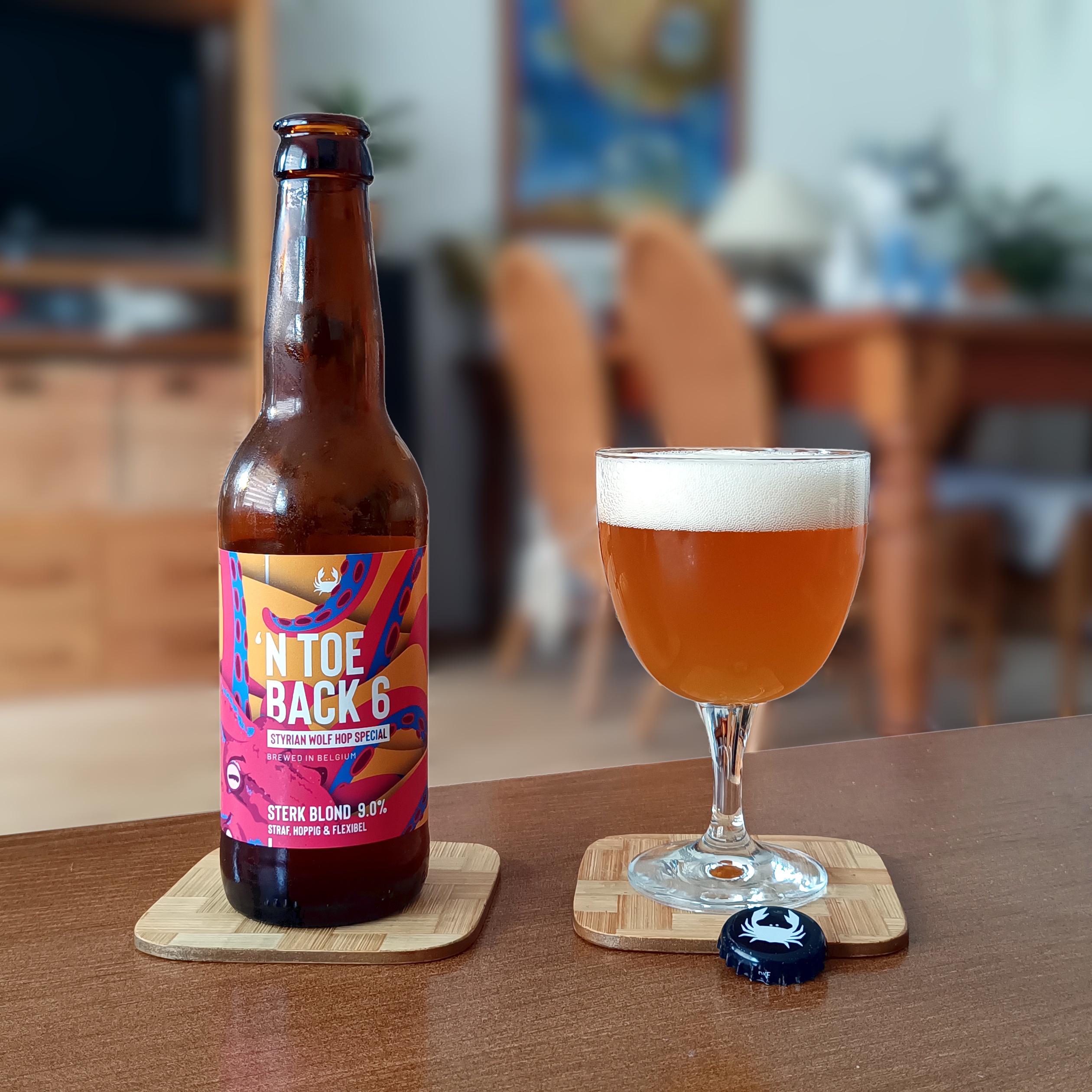 Exploring Scheldebrouwerij 'n Toeback 6: A Unique Brew Experience