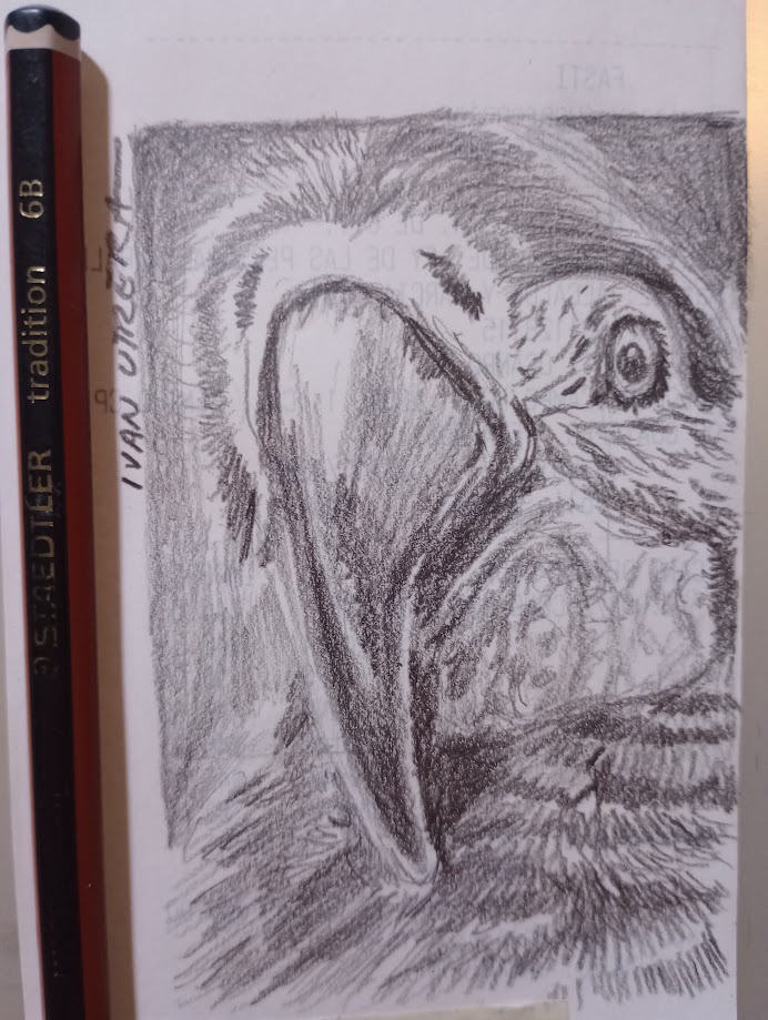 Artistic sketch in progress