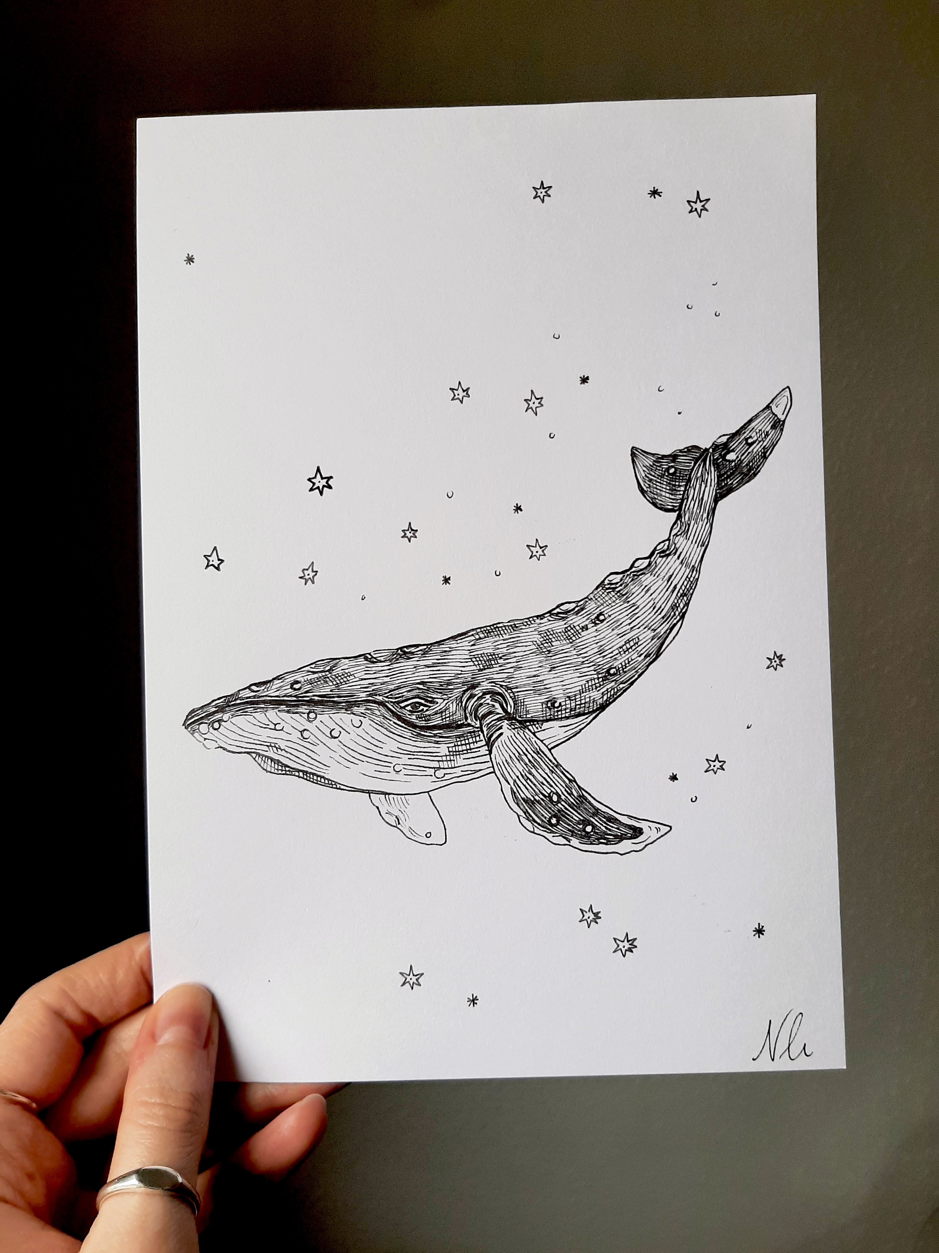 I Created an Adorable Star Whale Drawing